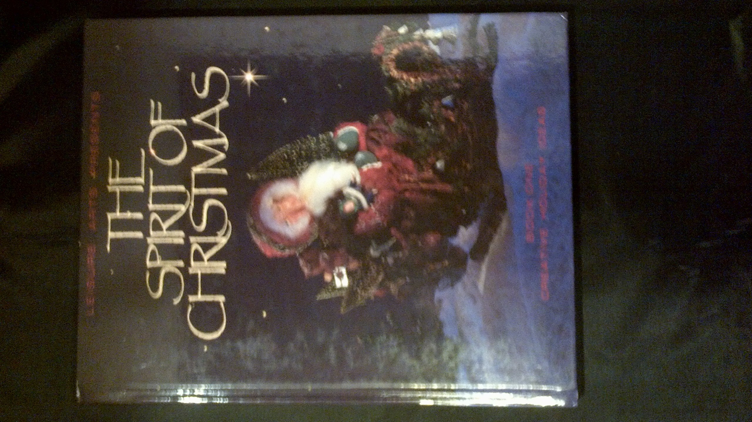 Spirit of Christmas: Creative Holiday Ideas Book One book