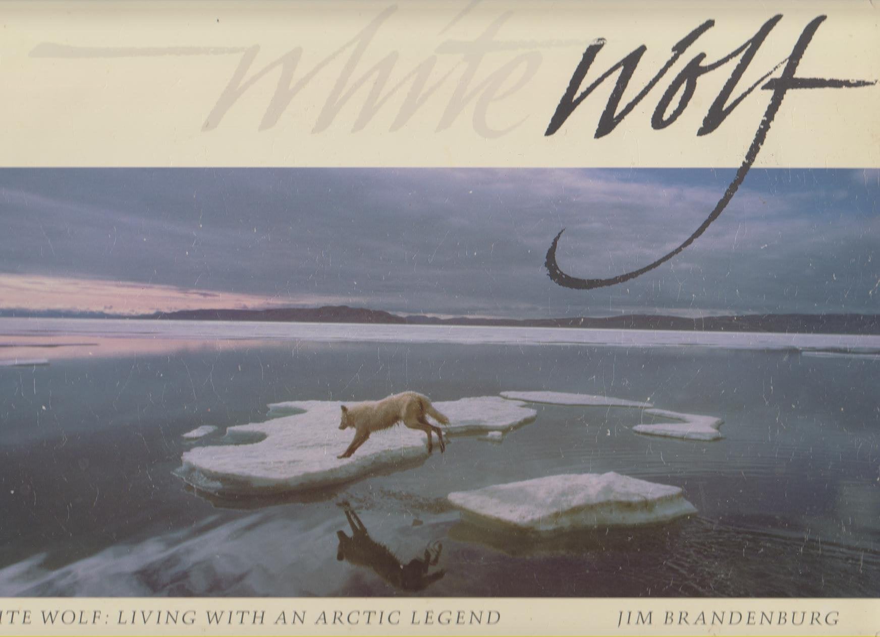 White Wolf: Living With an Arctic Legend book