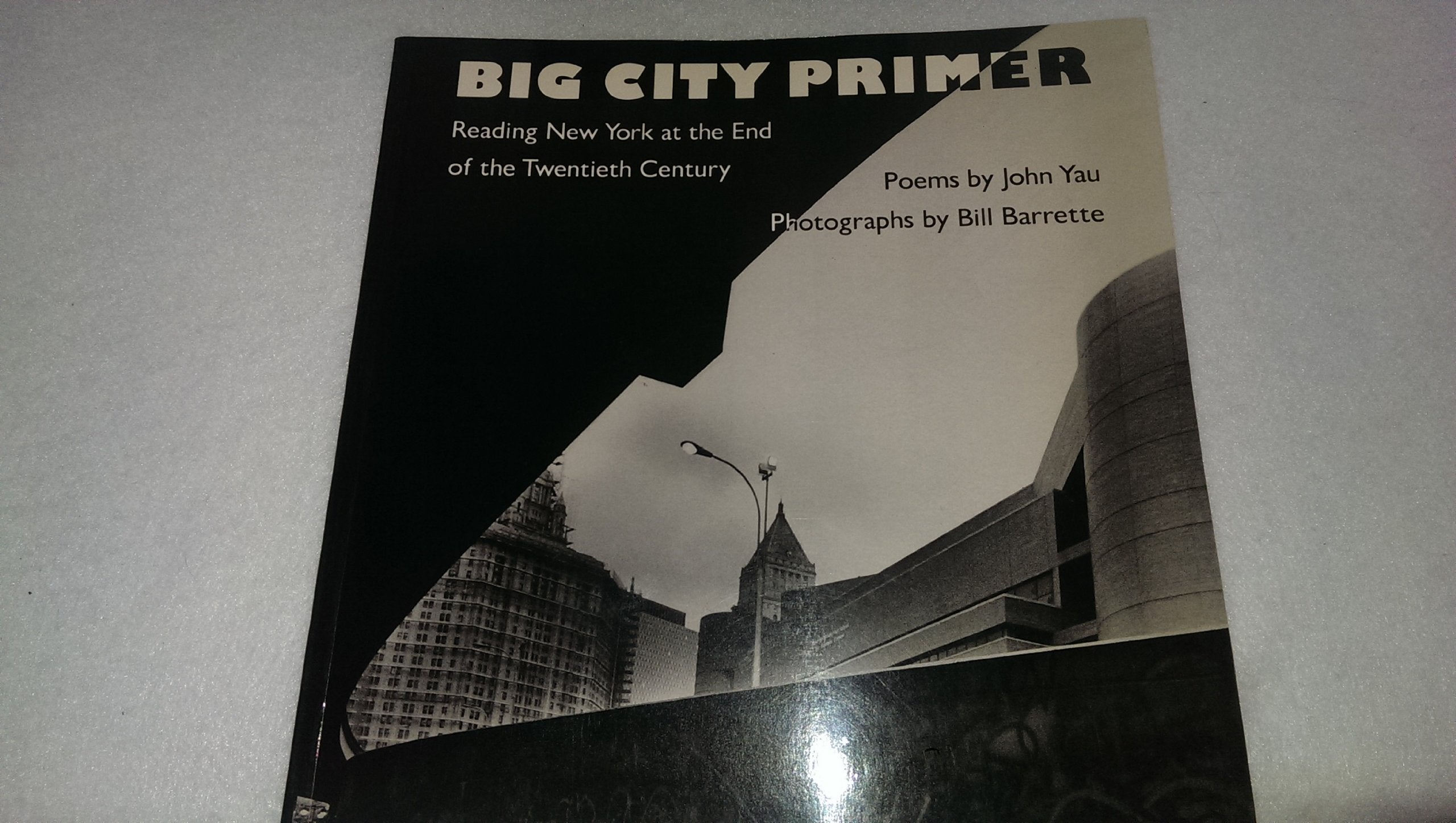 Big City Primer: Reading New York at the End of the Twentieth Century book