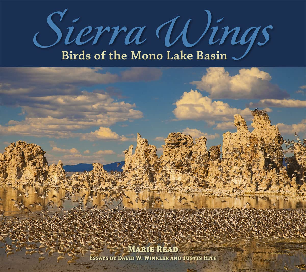 Sierra Wings: Birds of the Mono Lake Basin Geology & Geography