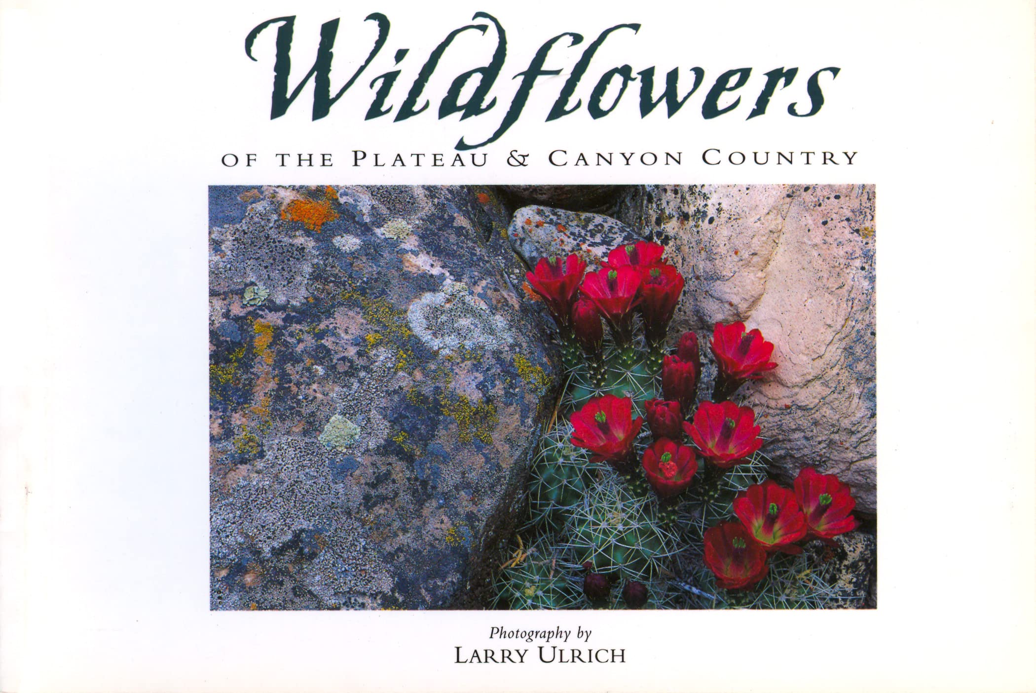 Wildflowers of the Plateau & Canyon Country: Twenty Postcards Mathematics