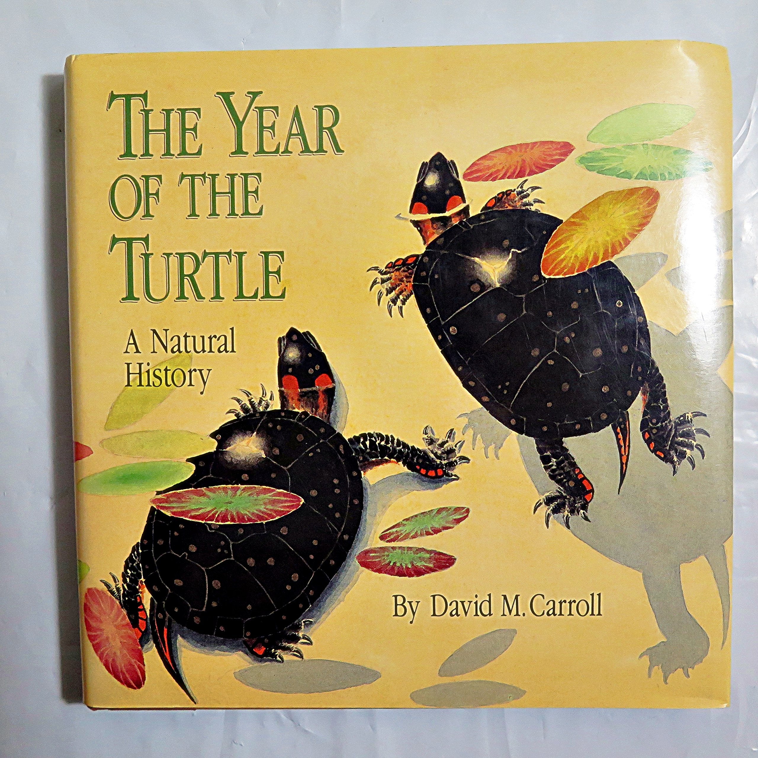 The Year of the Turtle: A Natural History book