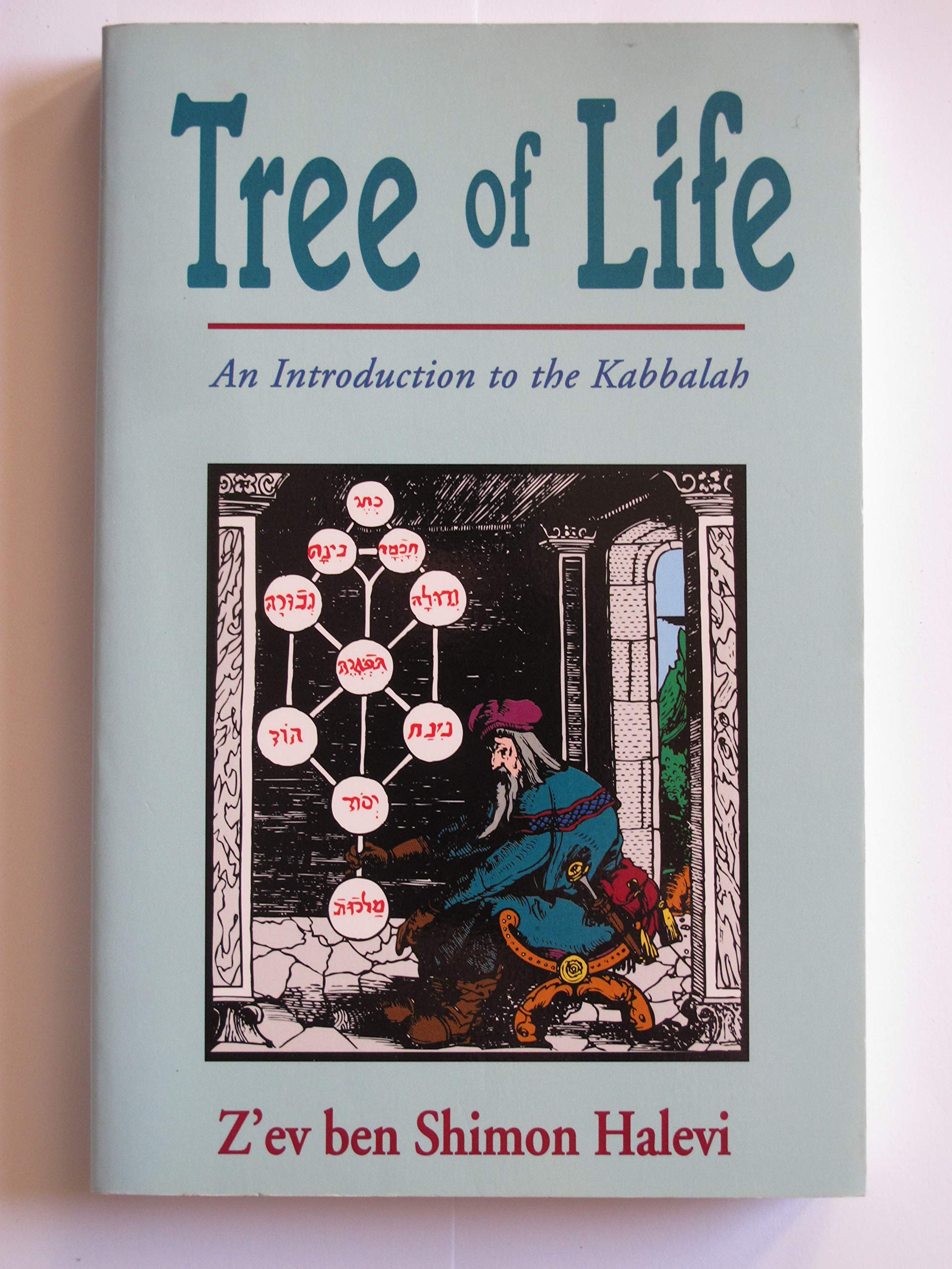 Tree of Life: Introduction to the Kabbalah: Introduction to the Kaballah book