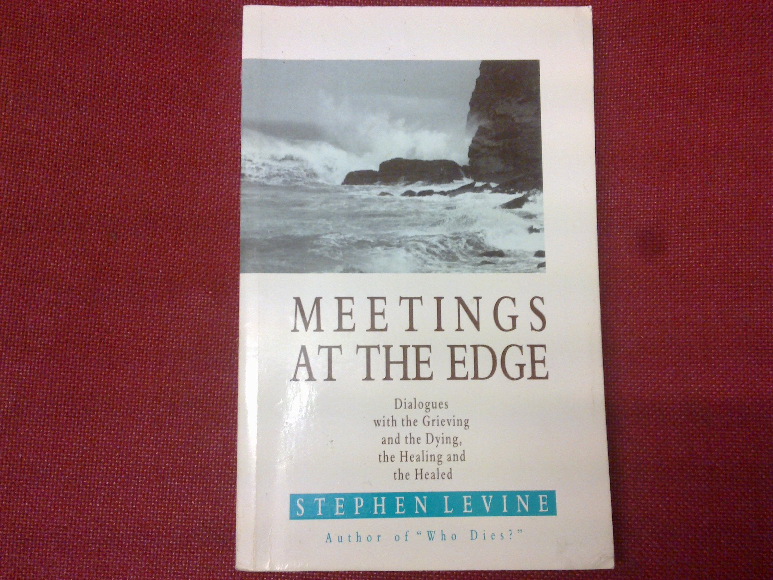 Meetings at the Edge: Dialogues with the Grieving and the Dying, the Healing and the Healed Death & Mourning