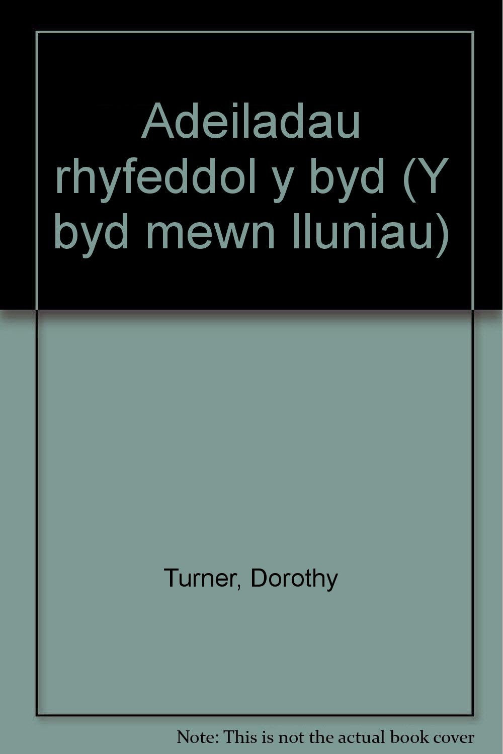 Adeiladau rhyfeddol y byd (Y byd mewn lluniau) Books