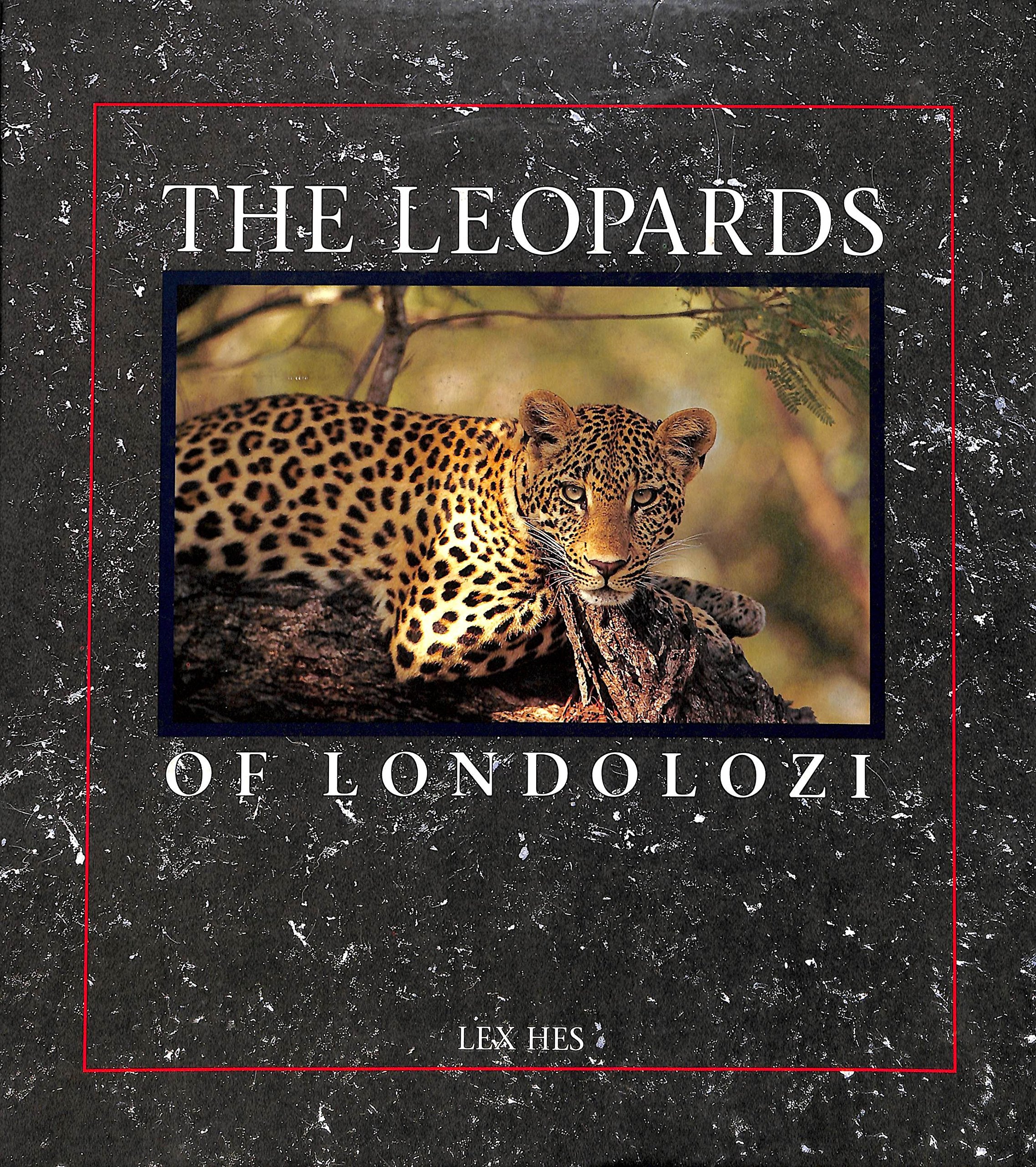 The Leopards of Londolozi Mathematics