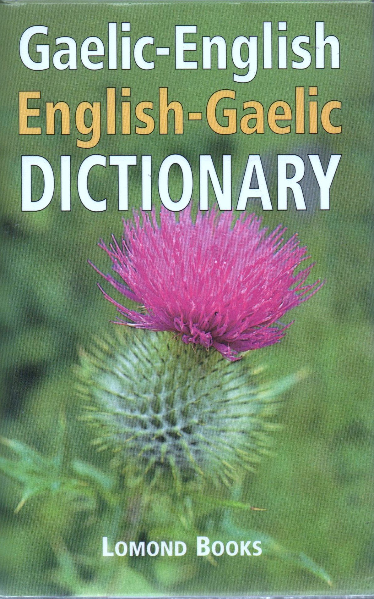 Gaelic-English, English-Gaelic Dictionary book