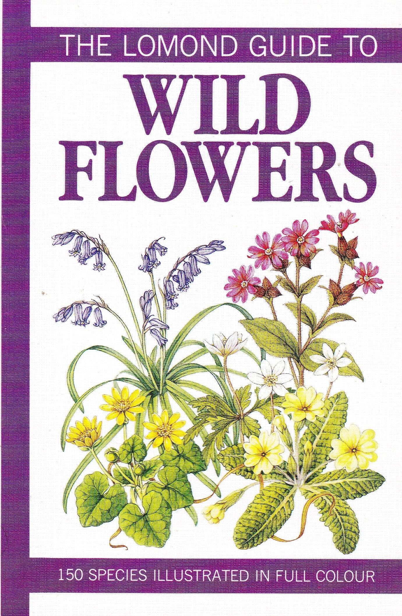 The Lomond Guide to Flowers Mathematics Books