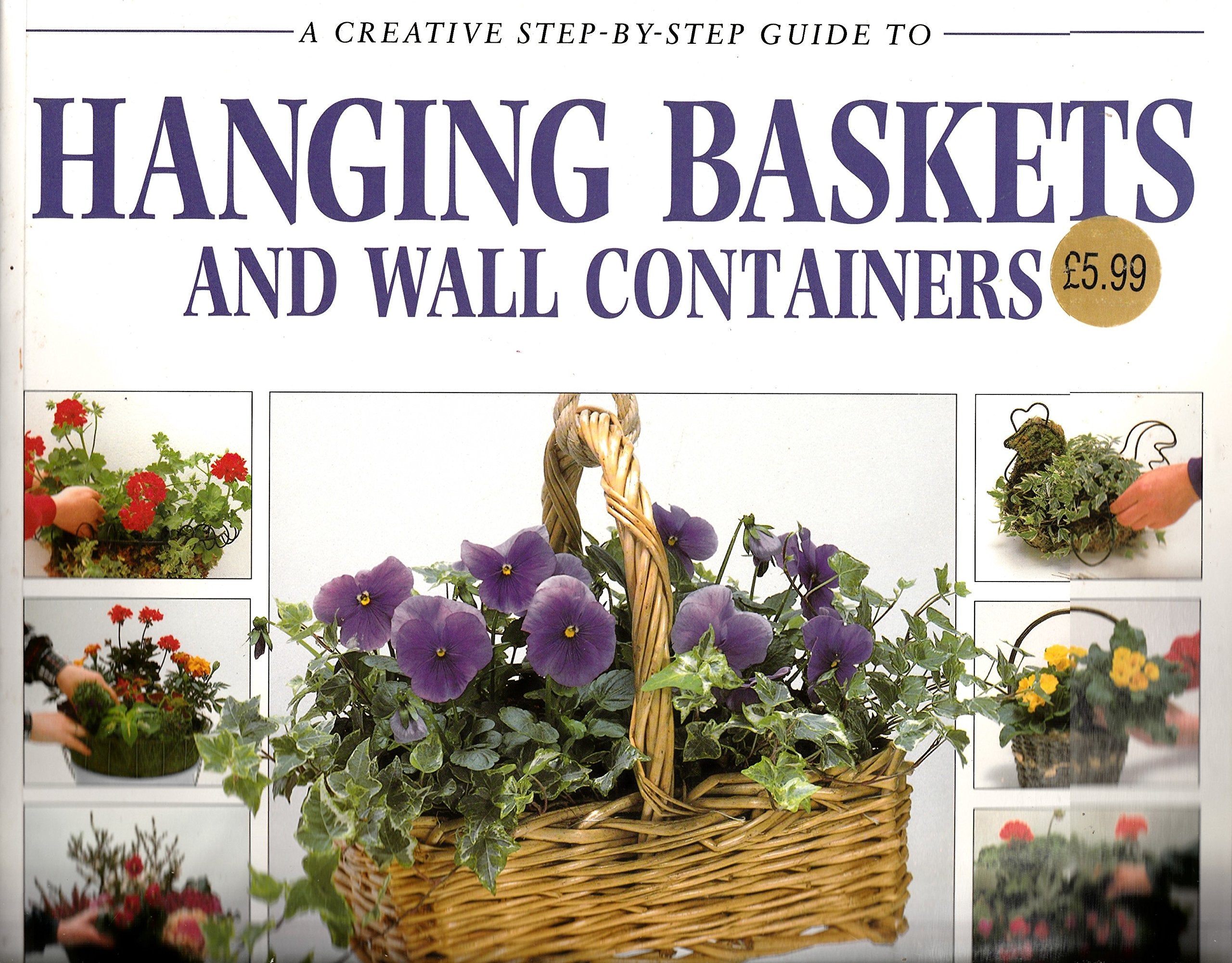 Product Image: HANGING BASKETS & WALL CONTAINERS
