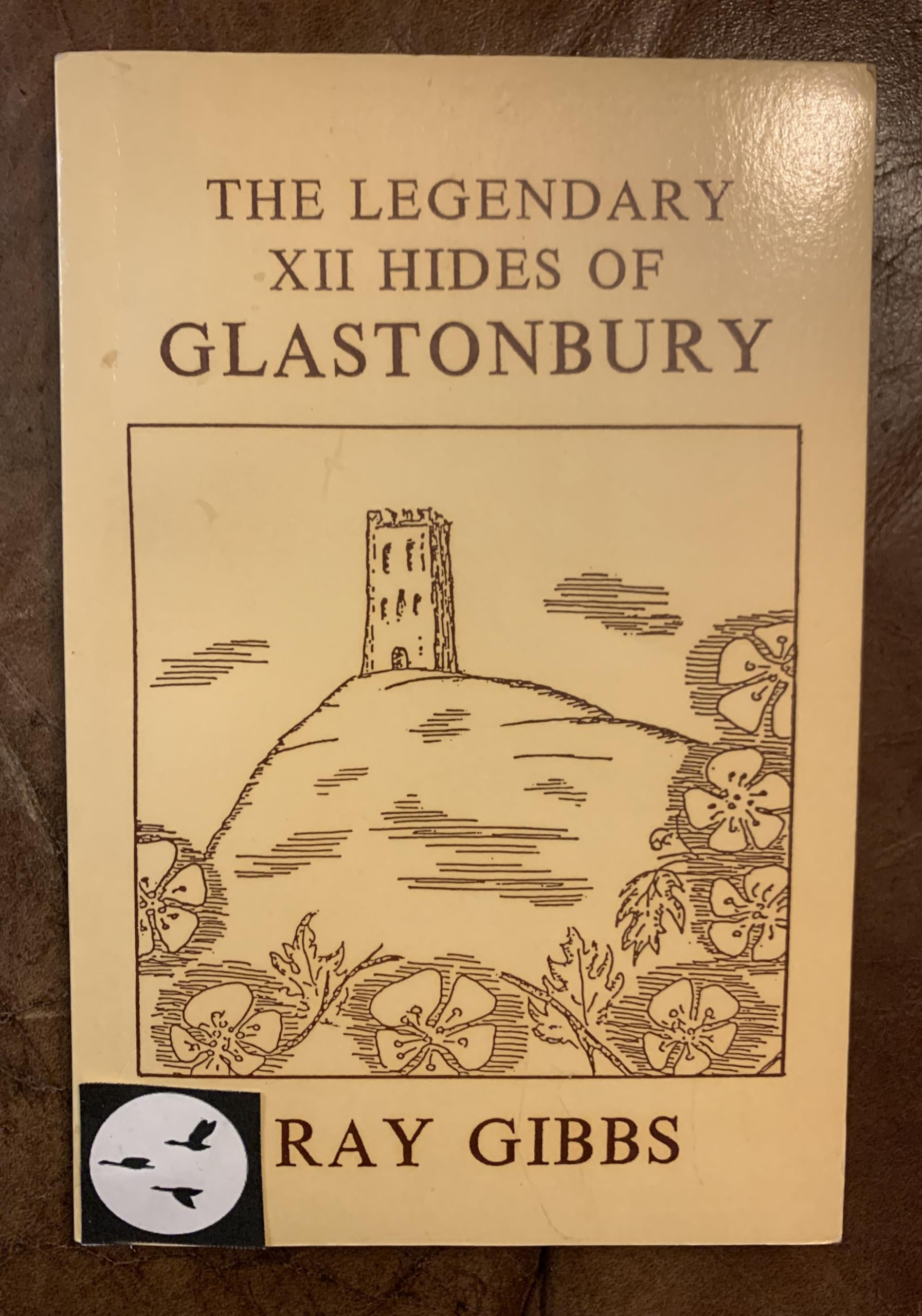 The Legendary Twelve Hides of Glastonbury: Legend of King Arthur and Joseph of Arimathaea Books
