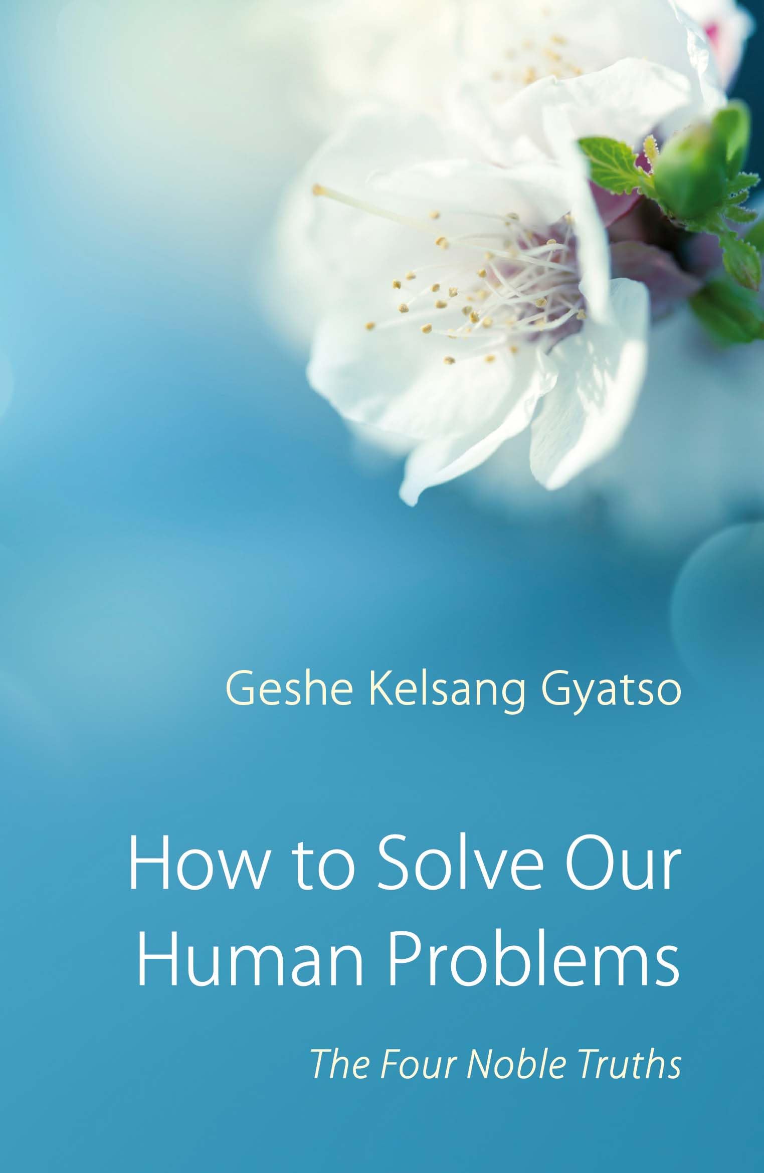 How to Solve Our Human Problems: The Four Noble Truths Religion & Esotericism