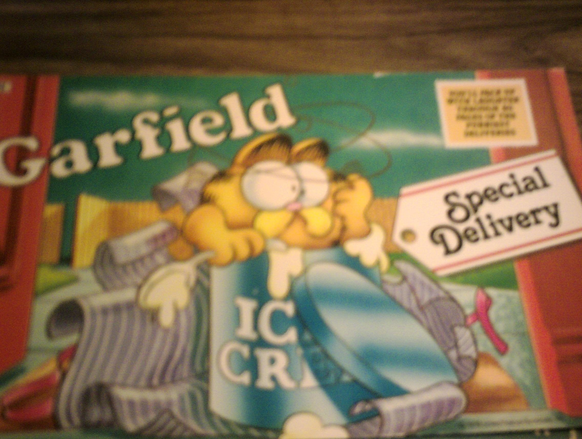 Garfield-Special Delivery (Garfield landscape books) Cartoons