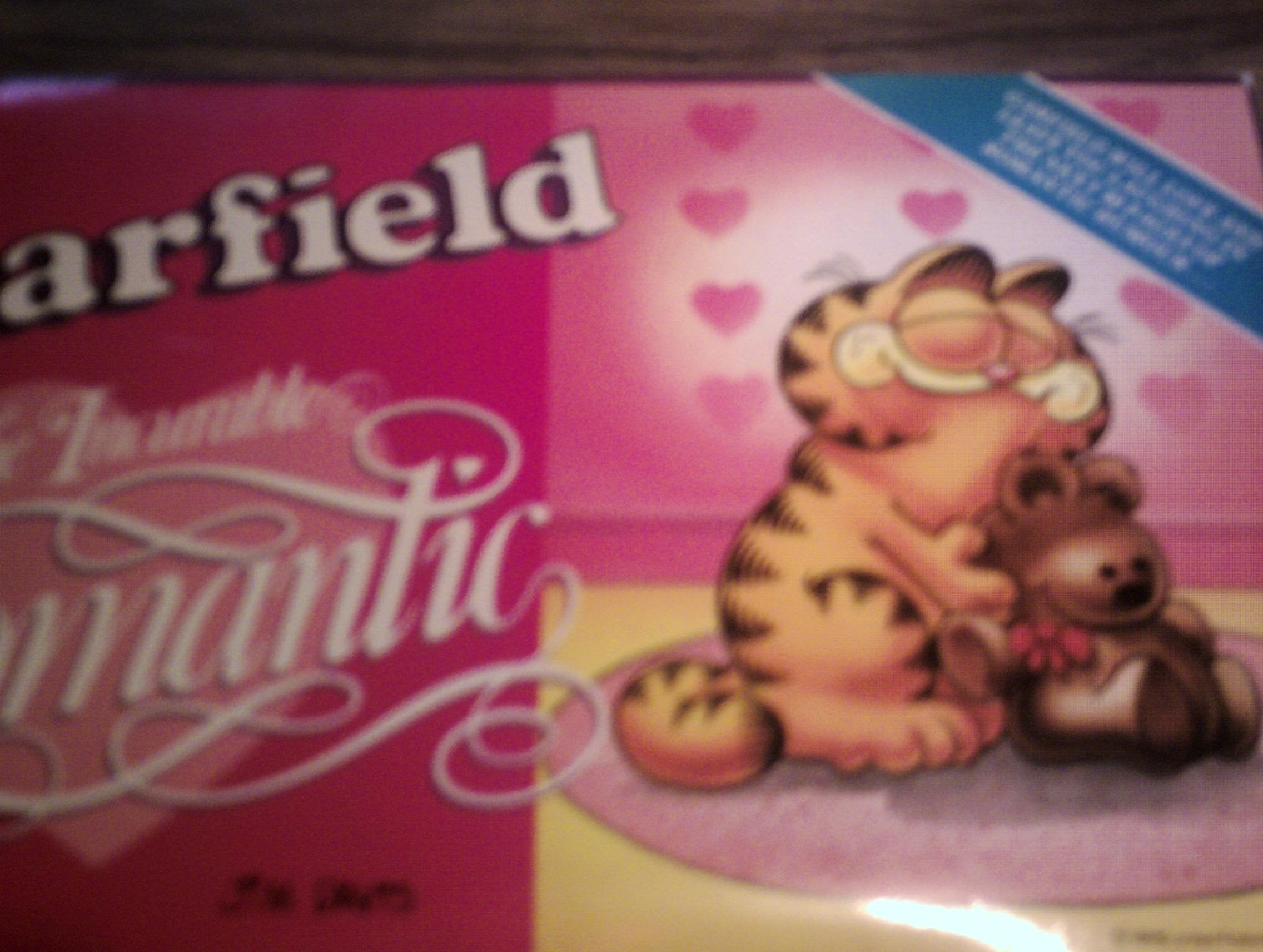 Garfield the Incurable Romantic (Garfield landscape books) Cartoons
