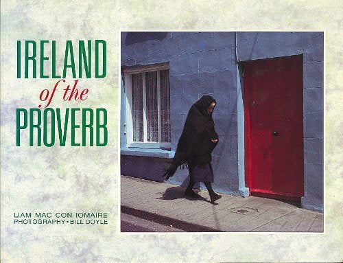 Ireland of the Proverb Contemporary literature