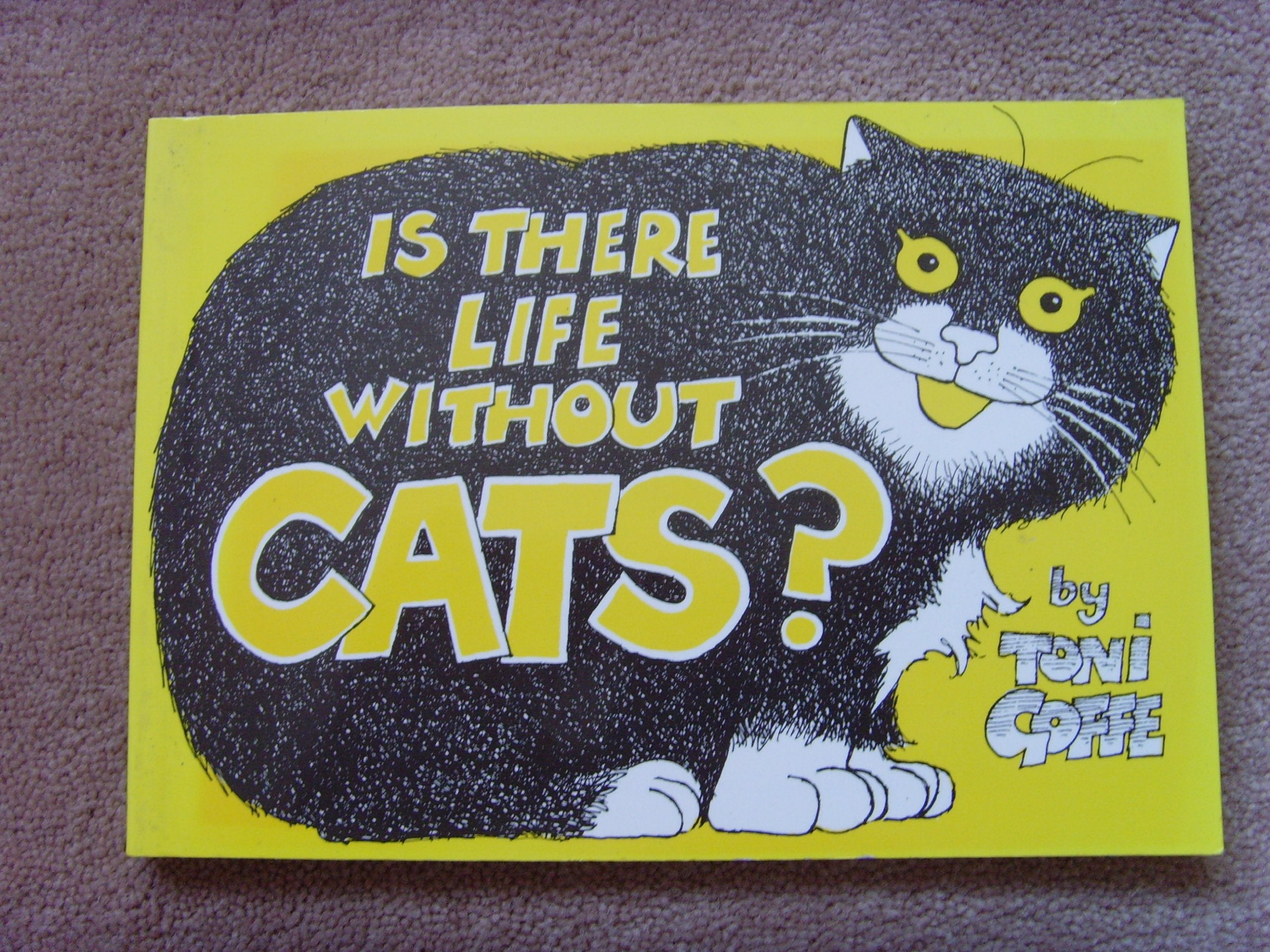 Is There Life without Cats? Second-hand books on film, art and culture