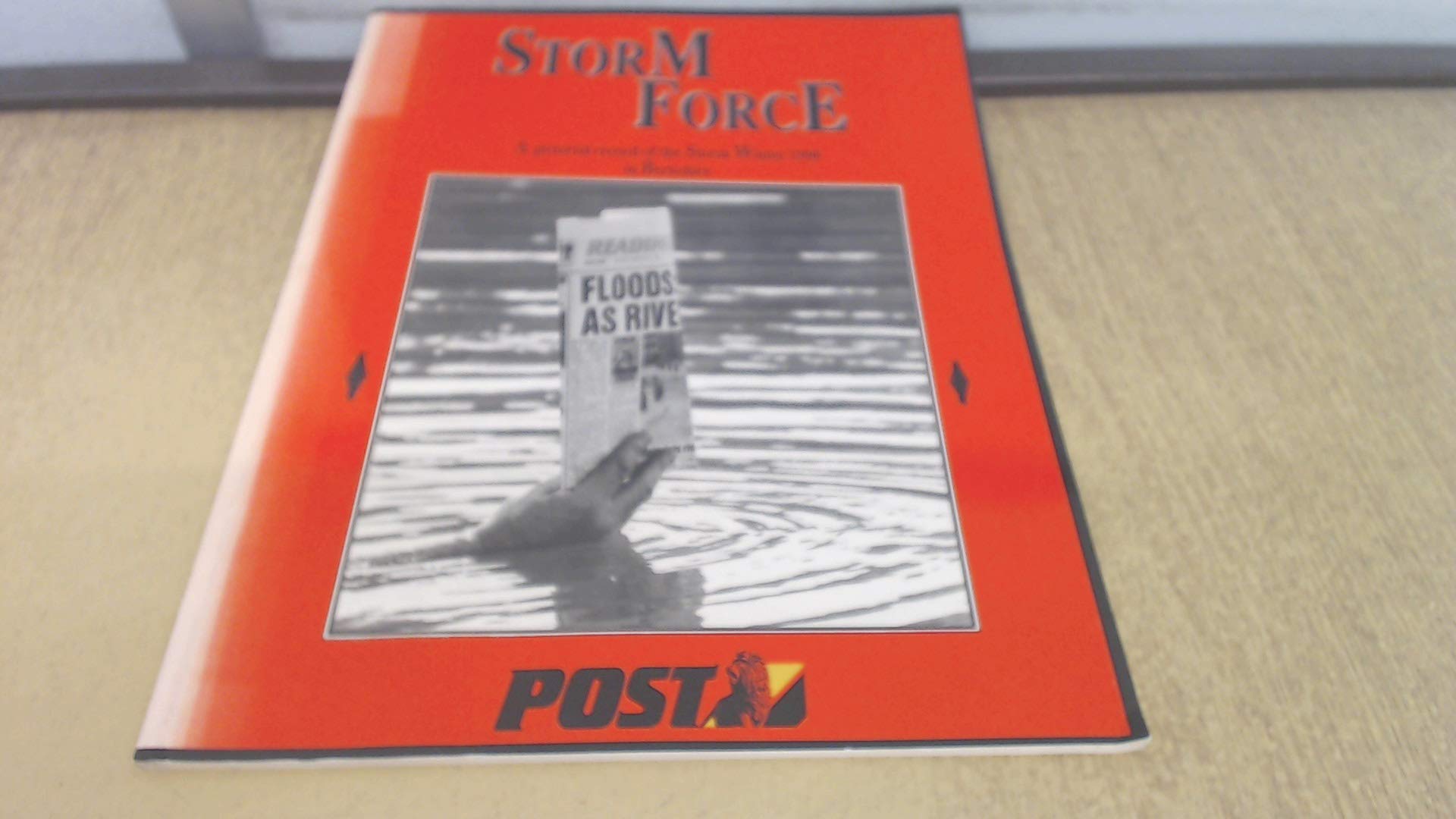 Storm Force: A Pictorial Record of the Storm Winter 1990 in Berkshire book