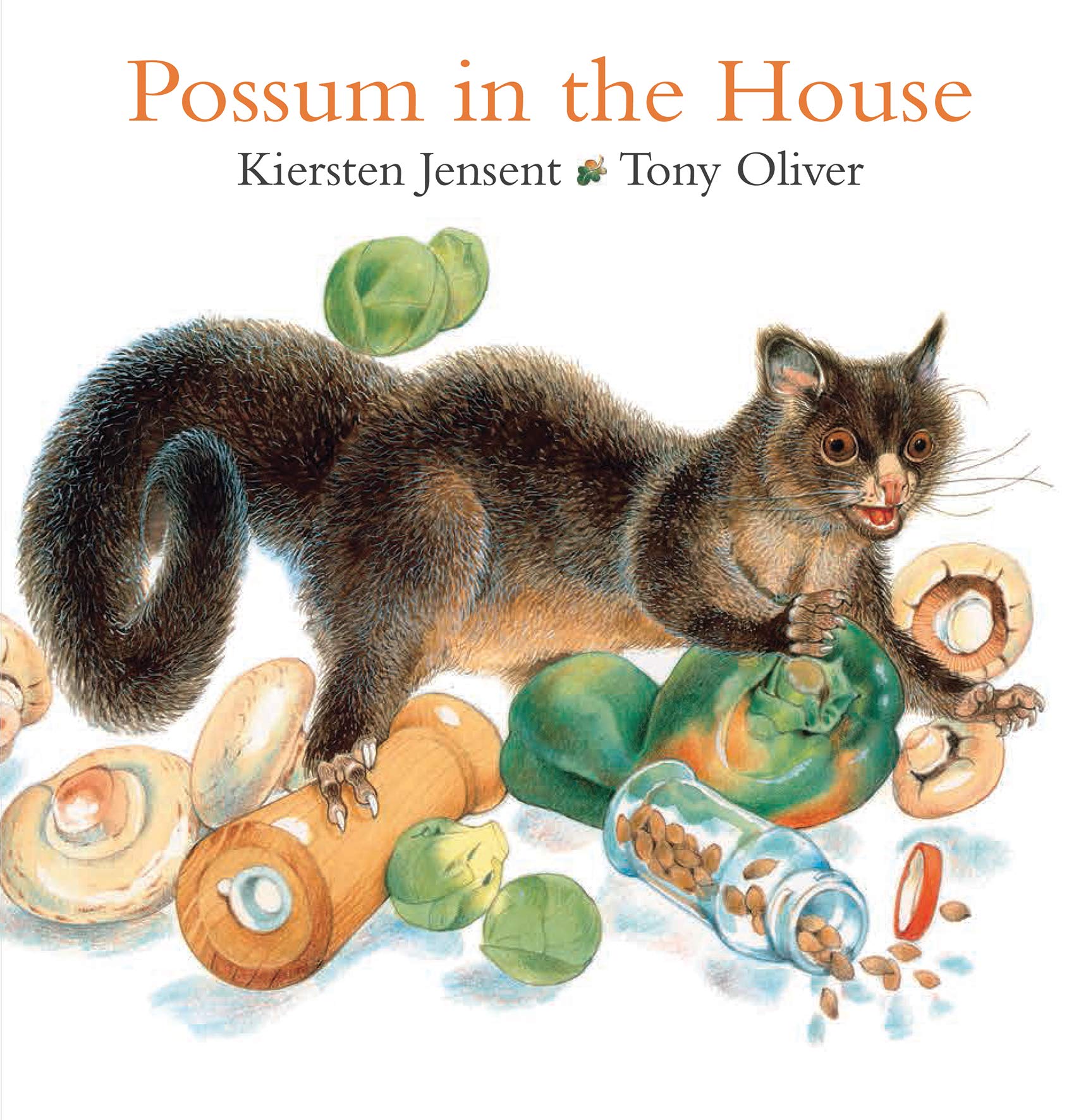 Possum in the House Books