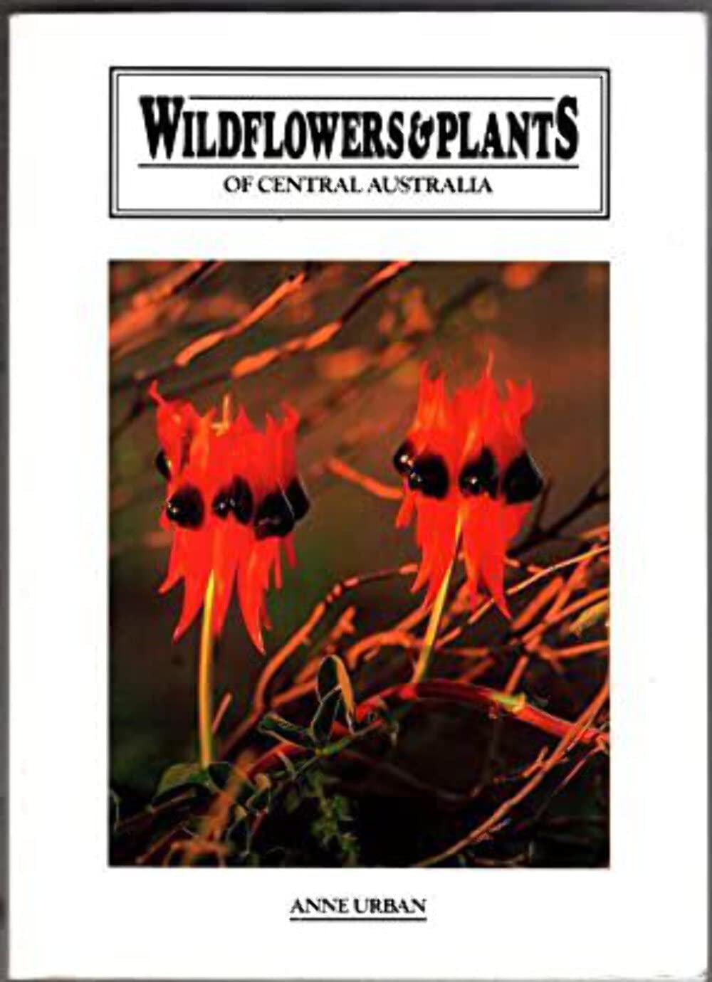 Wildflowers & plants of Central Australia Books