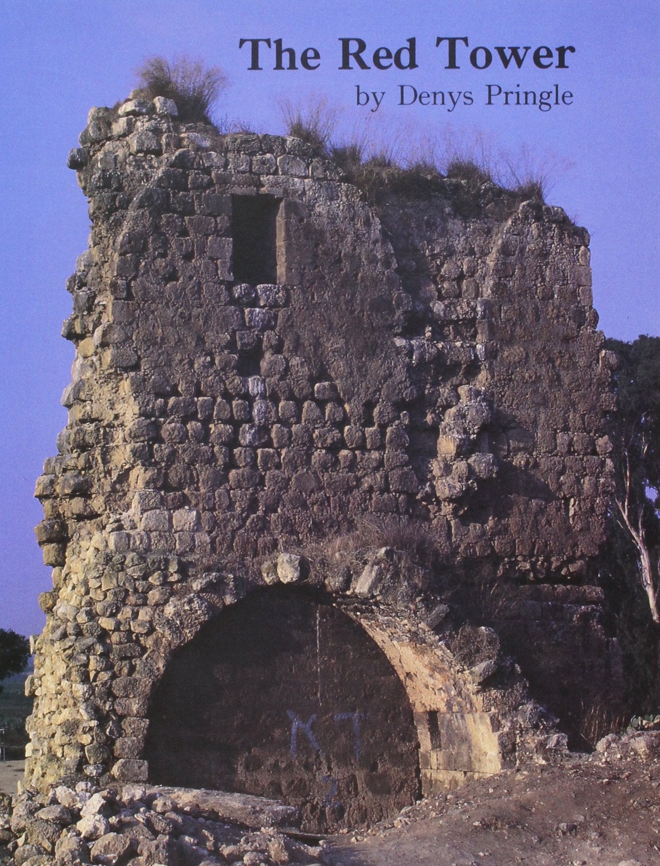 The Red Tower (Al-Burj Al Ahmar). Settlement in the Plain of Sharon at the Time of the Crusaders and Mamluk A.D. 1099-1516 (British School of Archaeology in Jerusalem Monograph, Band 1) Social Sciences