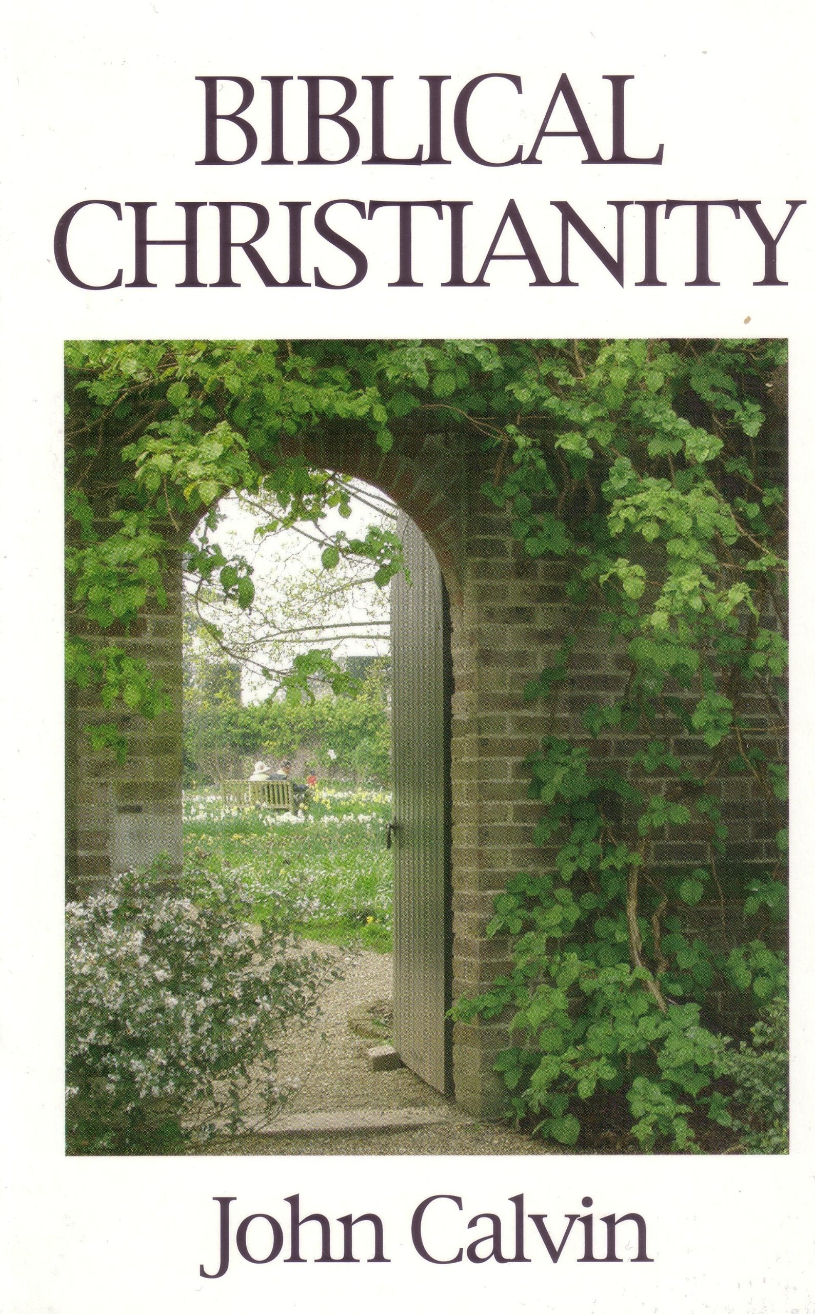 Biblical Christianity: Institutes of the Christian Religion book