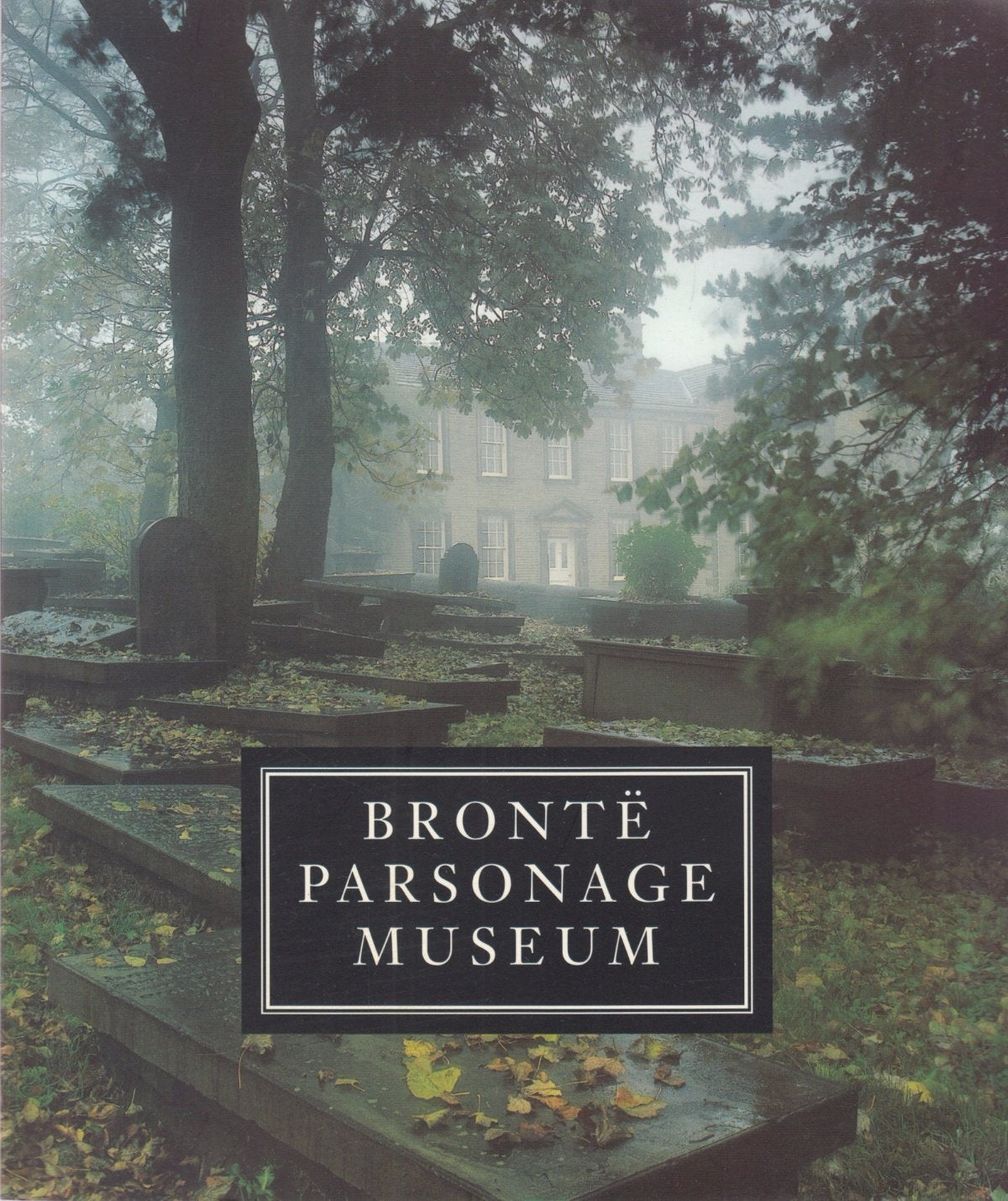The Brontes Haworth Politics & History books