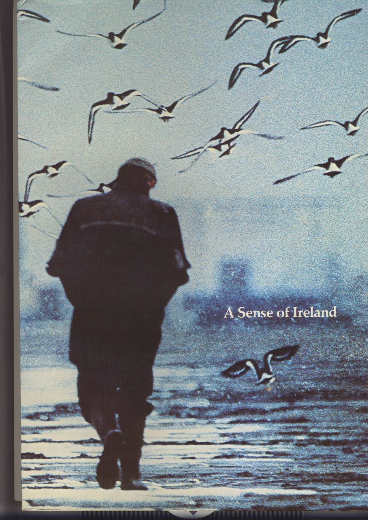 A Sense of Ireland (Institute of Contemporary Arts Festival) Books