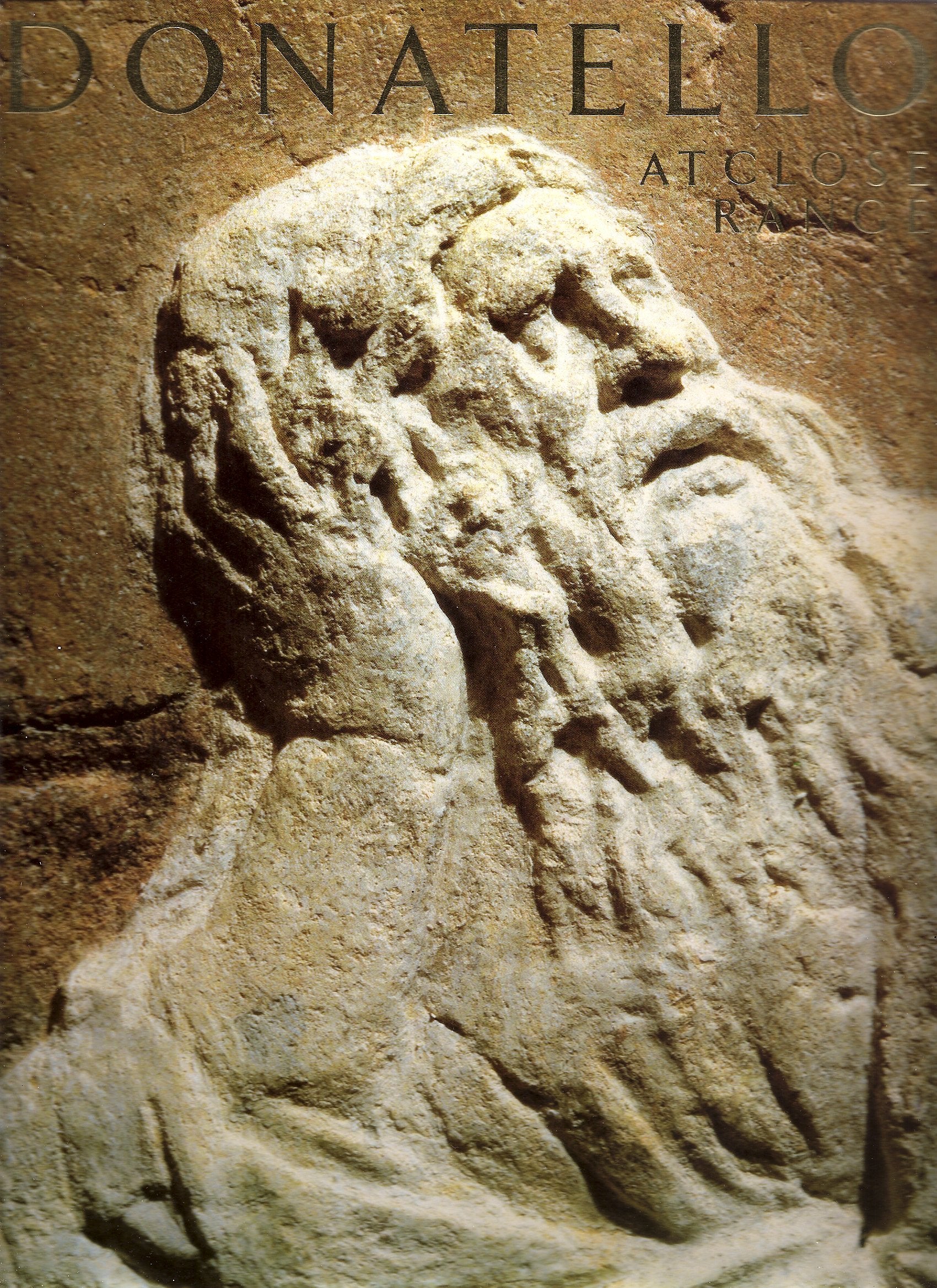 DONATELLO at Close Range. An initial view of the r Books