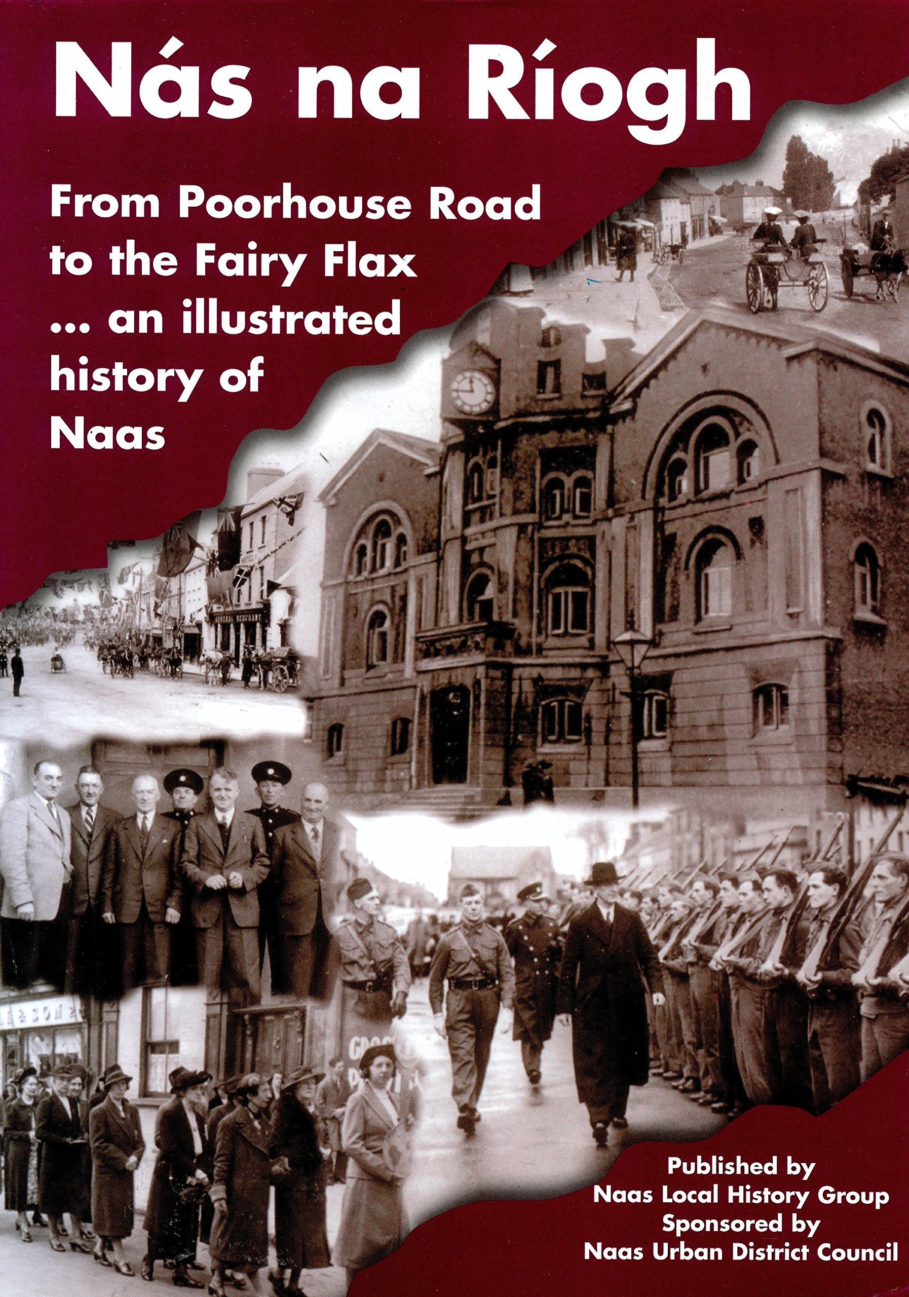 nas-na-riogh-from-poorhouse-road-to-the-fairy-flax Books