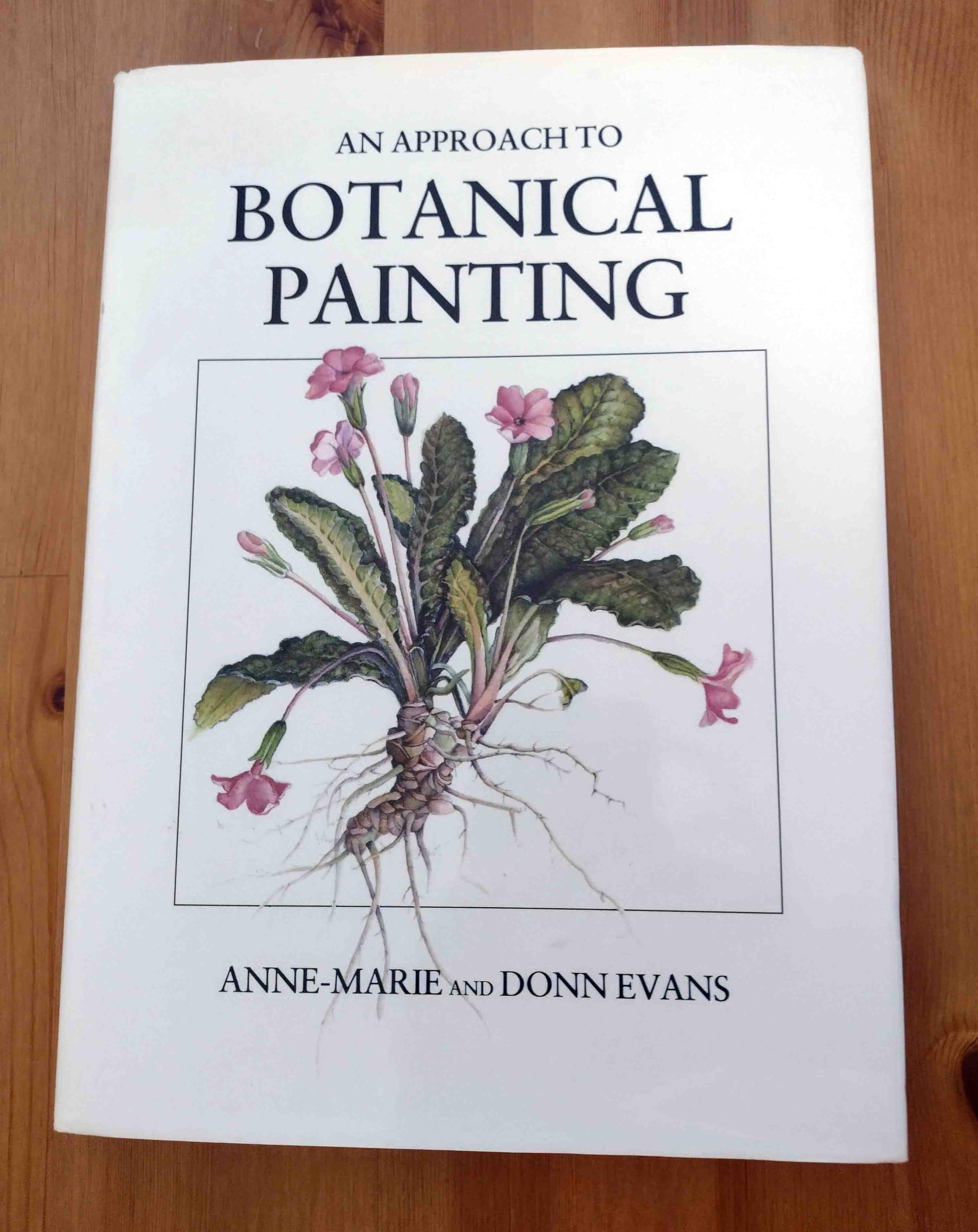 An Approach to Botanical Painting book