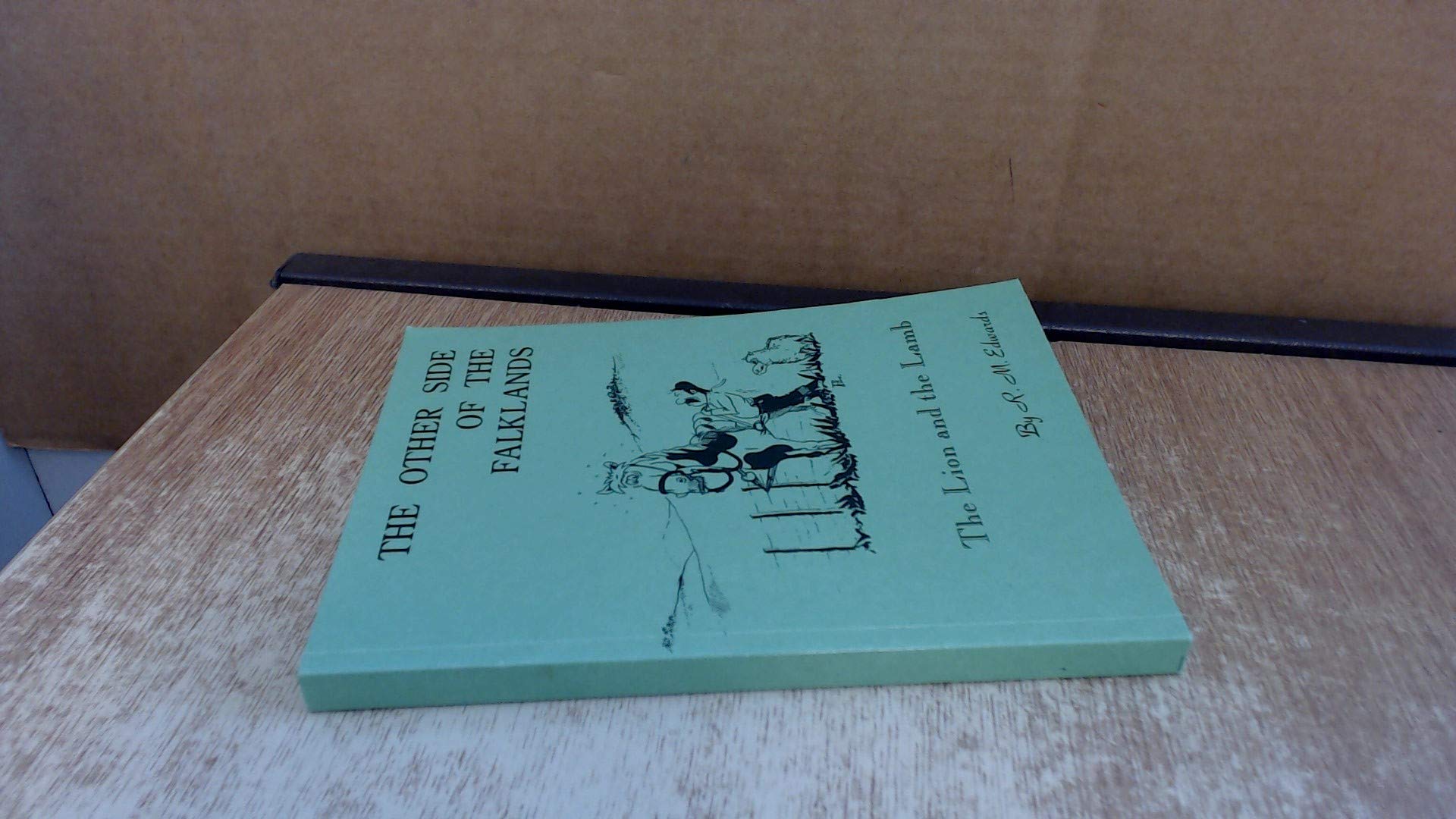 The Other Side of the Falklands: The Lion and the Lamb book