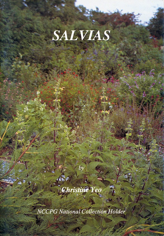 Product Image: Salvias