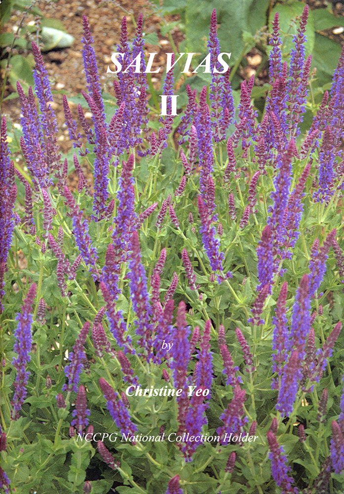 Salvias II Books