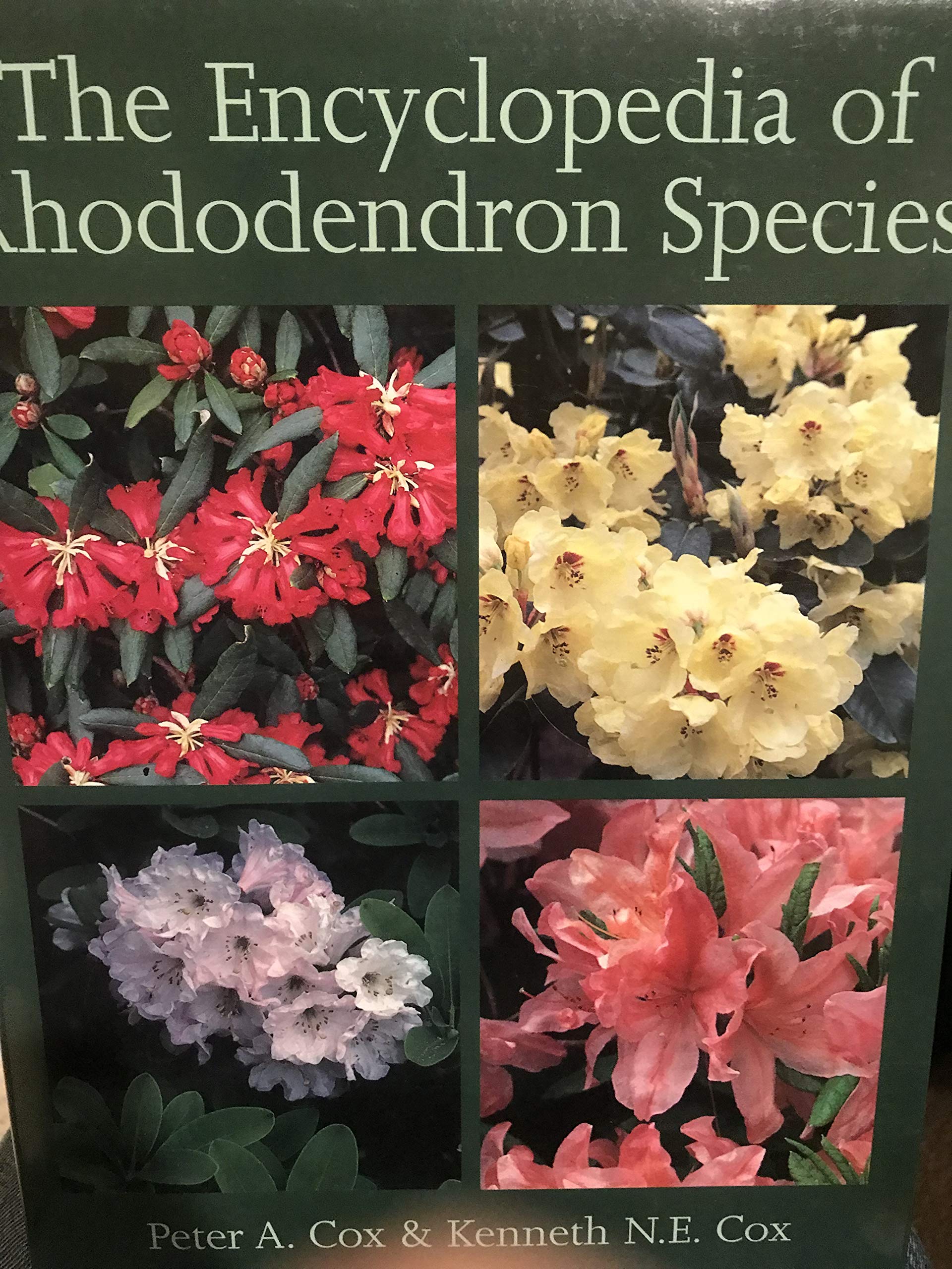 Encyclopedia of Rhododendron Species Natural Sciences