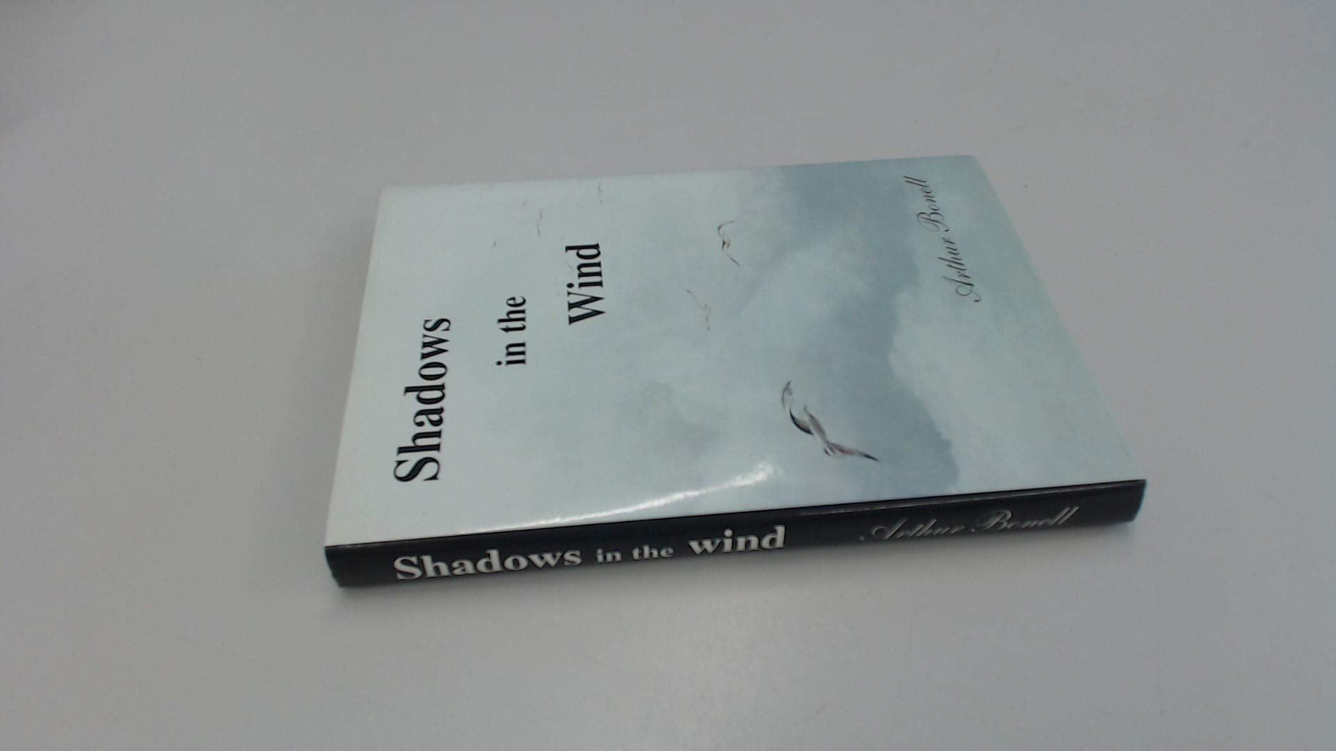 Shadows in the Wind Contemporary literature