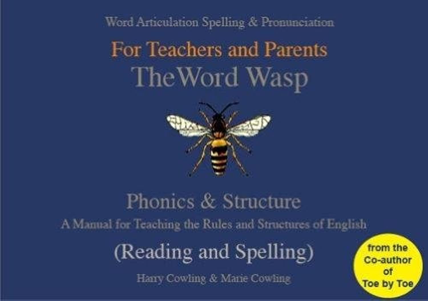 The Word Wasp: A reading and spelling manual for parents and teachers working with learners with dyslexia book