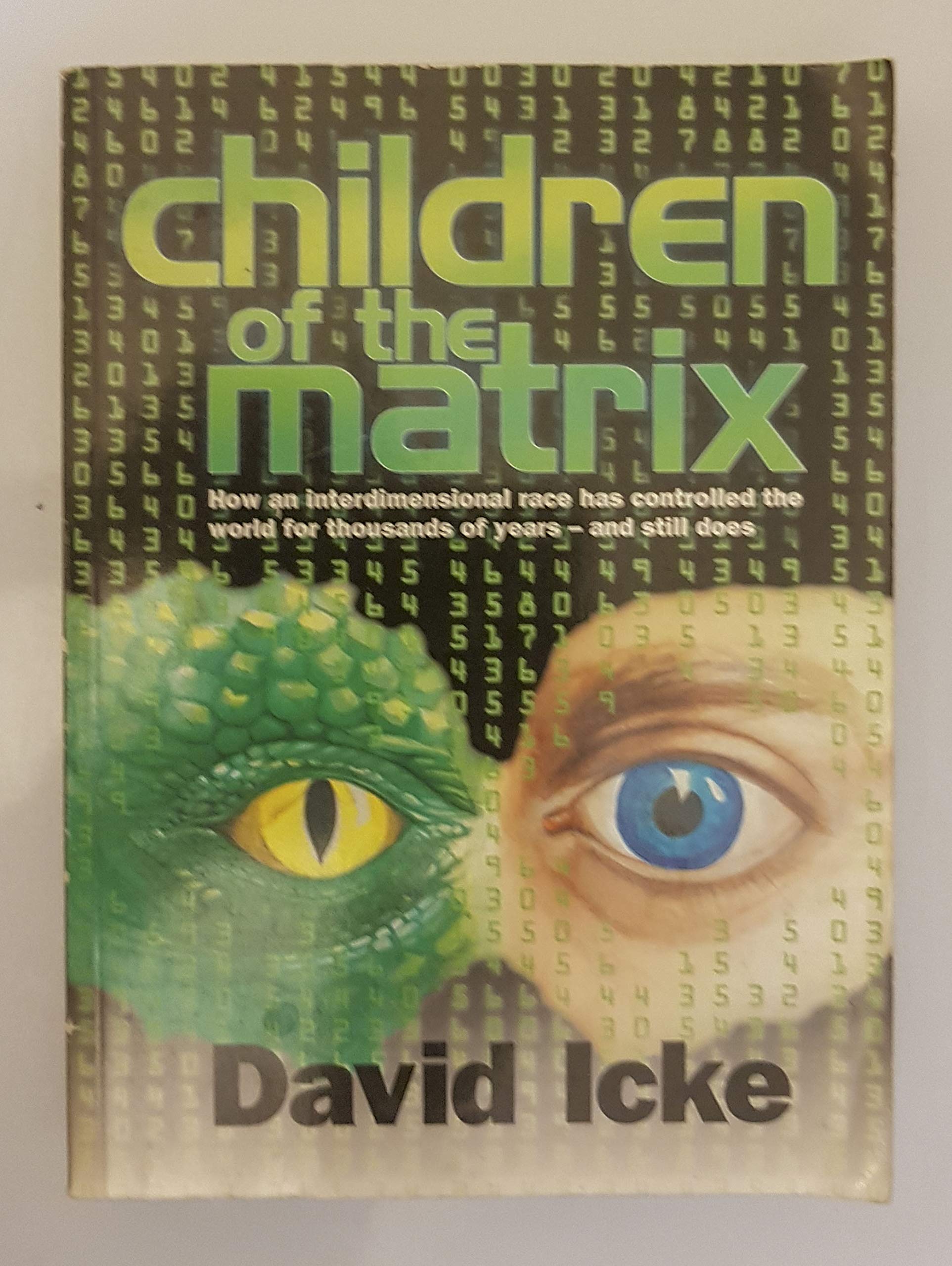 Children of the Matrix: How an Interdimensional Race has Controlled the World for Thousands of Years-and Still Does book