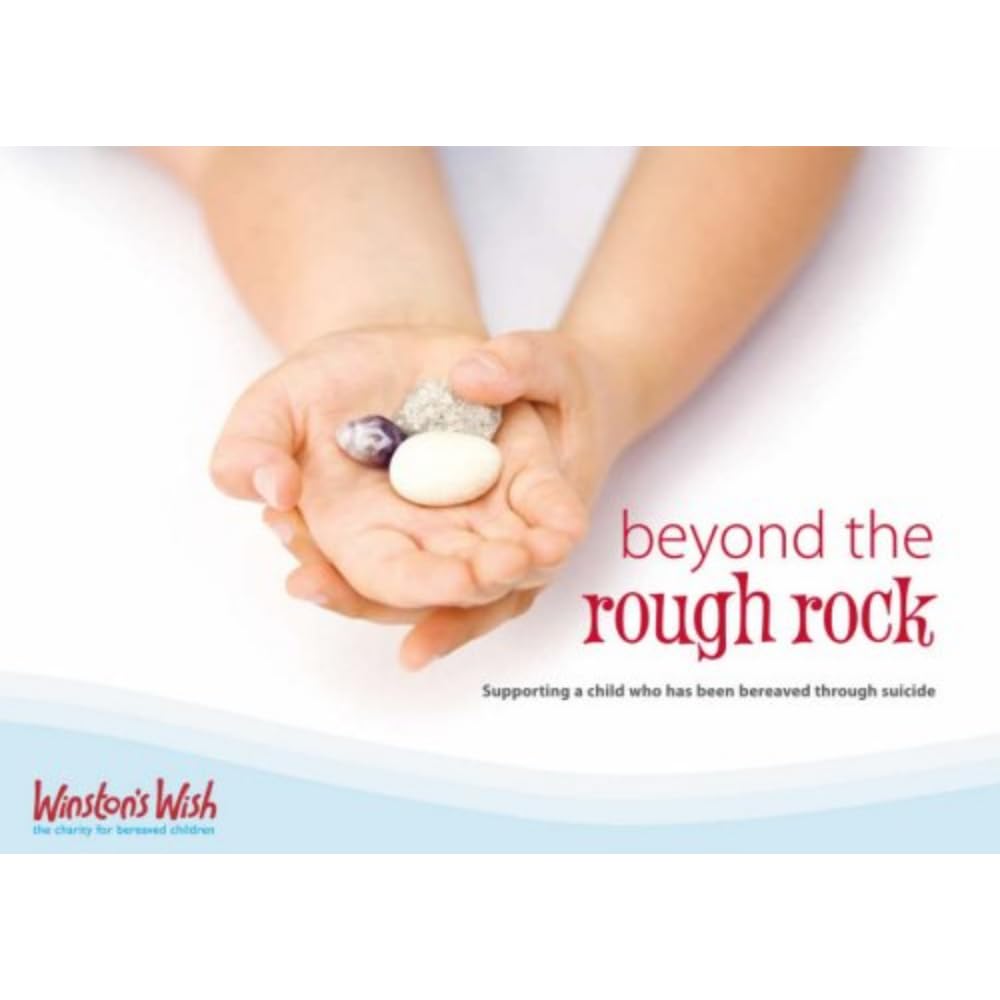 Beyond the Rough Rock: Supporting a Child Who Has Been Bereaved Through Suicide book