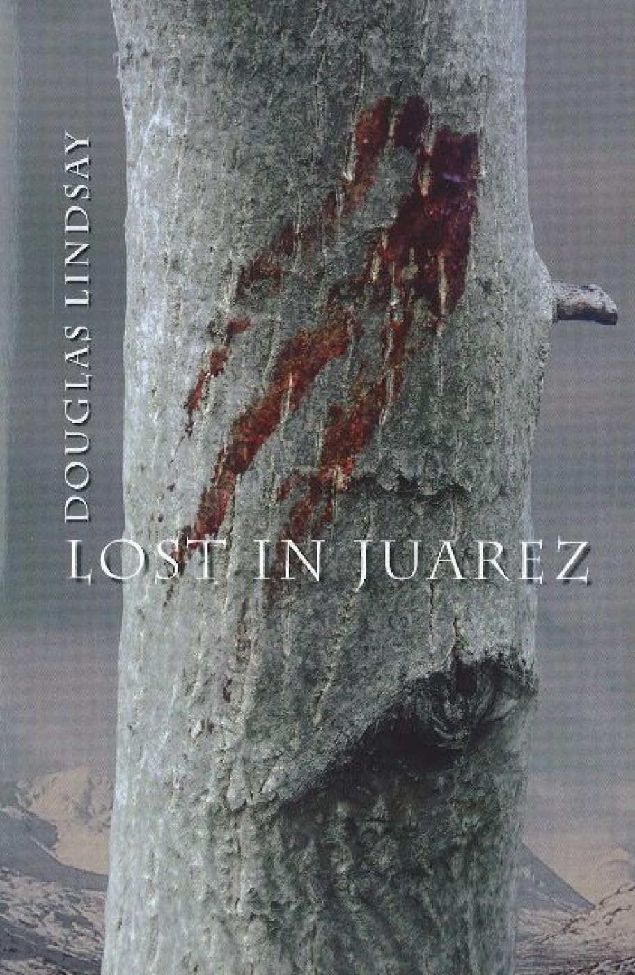 Product Image: Lost in Juarez