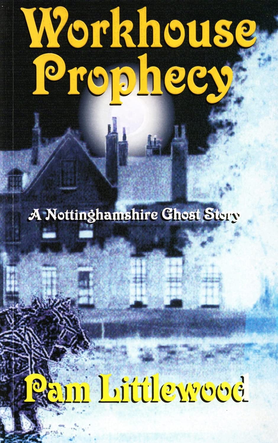 Workhouse Prophecy: A Nottinghamshire Ghost Story book