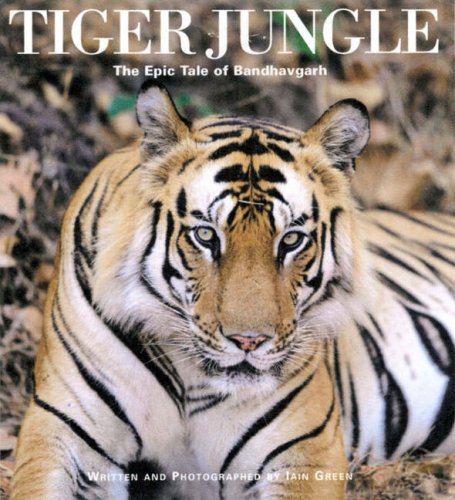 Tiger Jungle: The Epic Tale of Bandhavgarh Mathematics