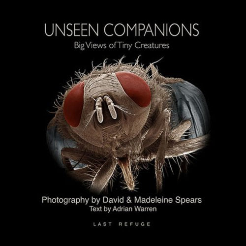 Unseen Companions: Big Views of Tiny Creatures Travel