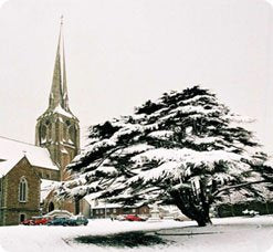 Twin Churches Book, The: Wexford 1858-2008 Books