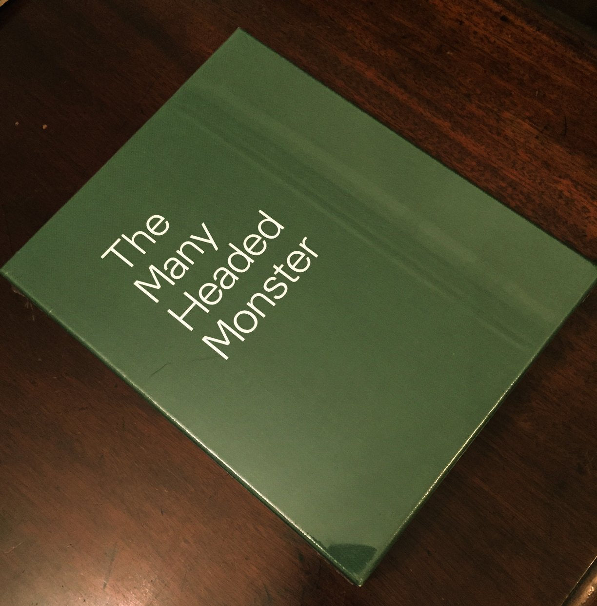 The Many Headed Monster: The Audience of Contemporary Performance Film, Art & Culture