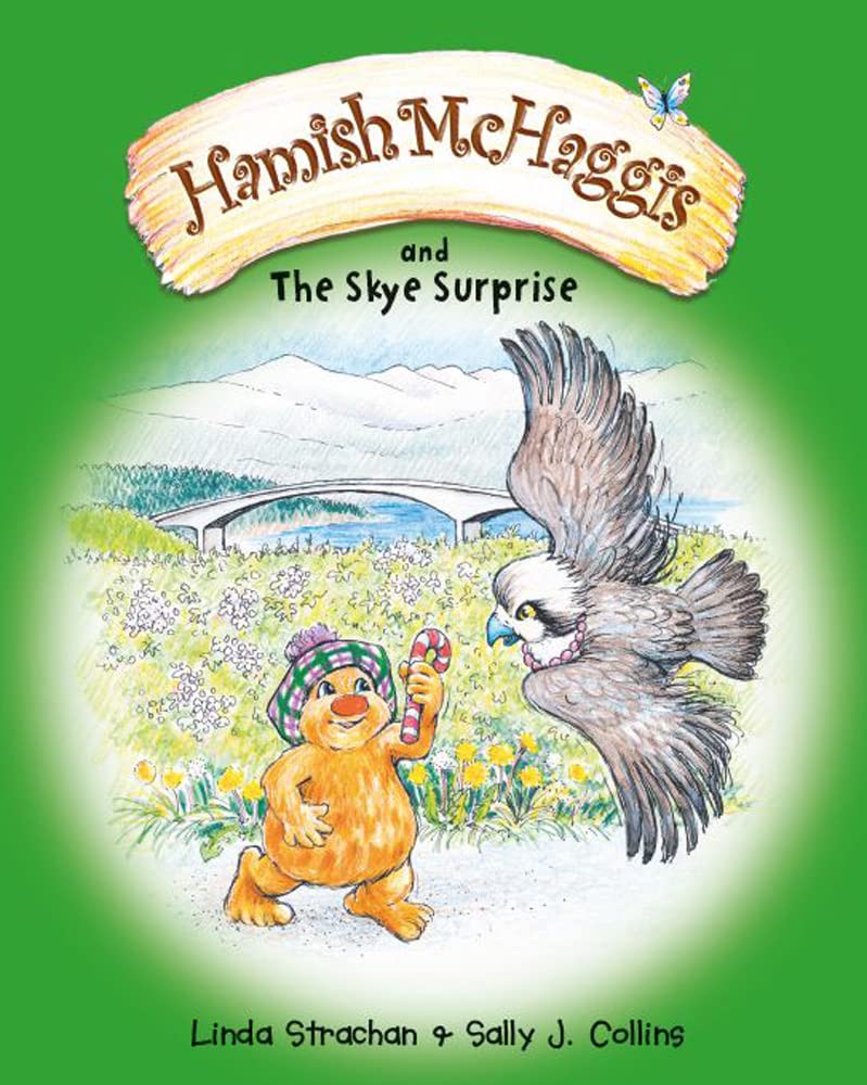 Hamish Mchaggis and Skye: And the Skye Surprise book