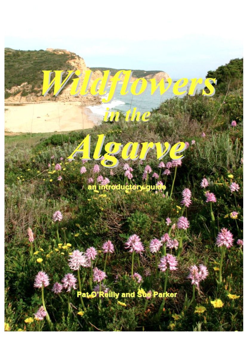 Wildflowers in the Algarve: An Introductory Guide Mathematics