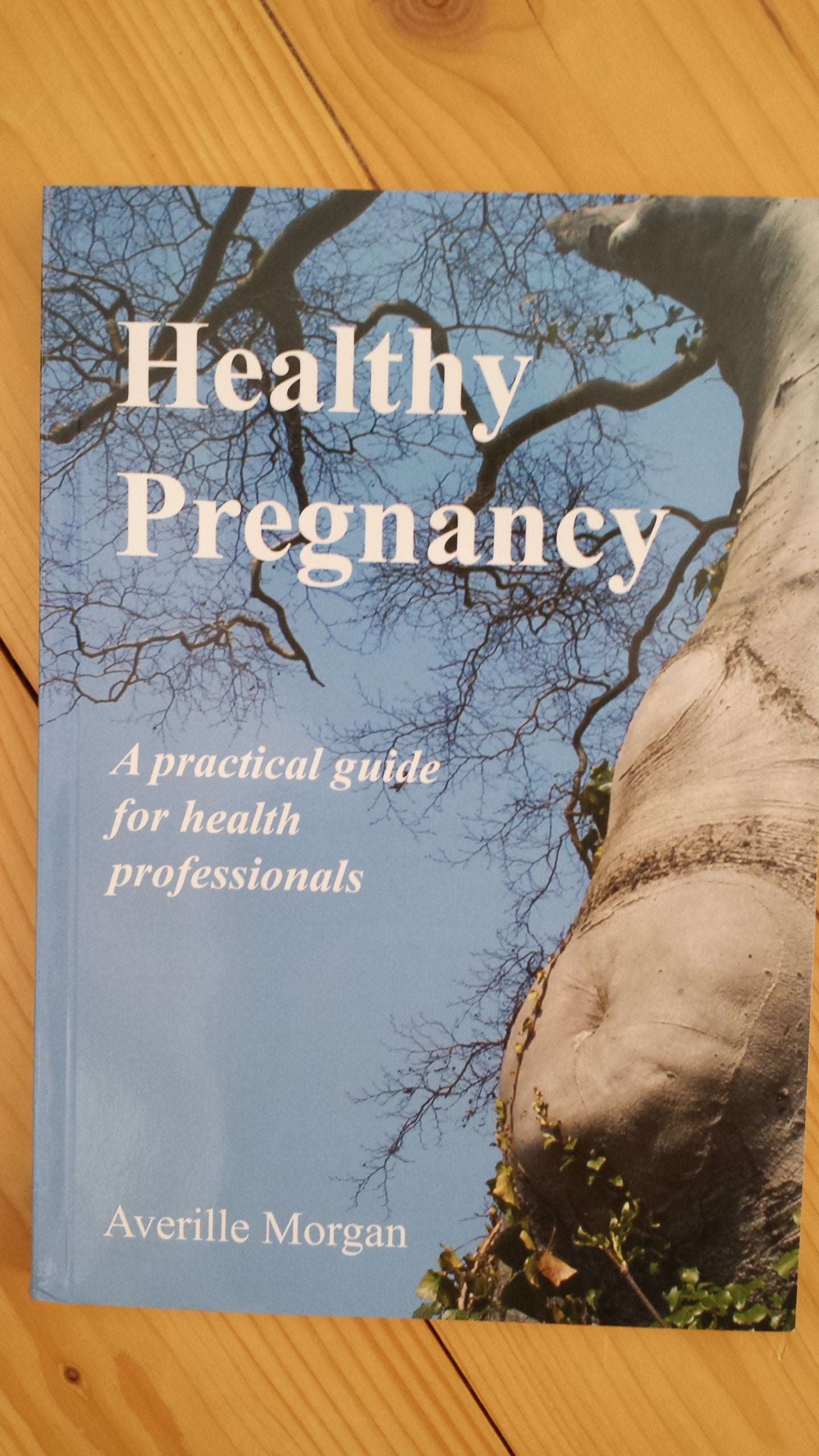 Healthy Pregnancy: A Handbook for Parents and Professionals Medicine
