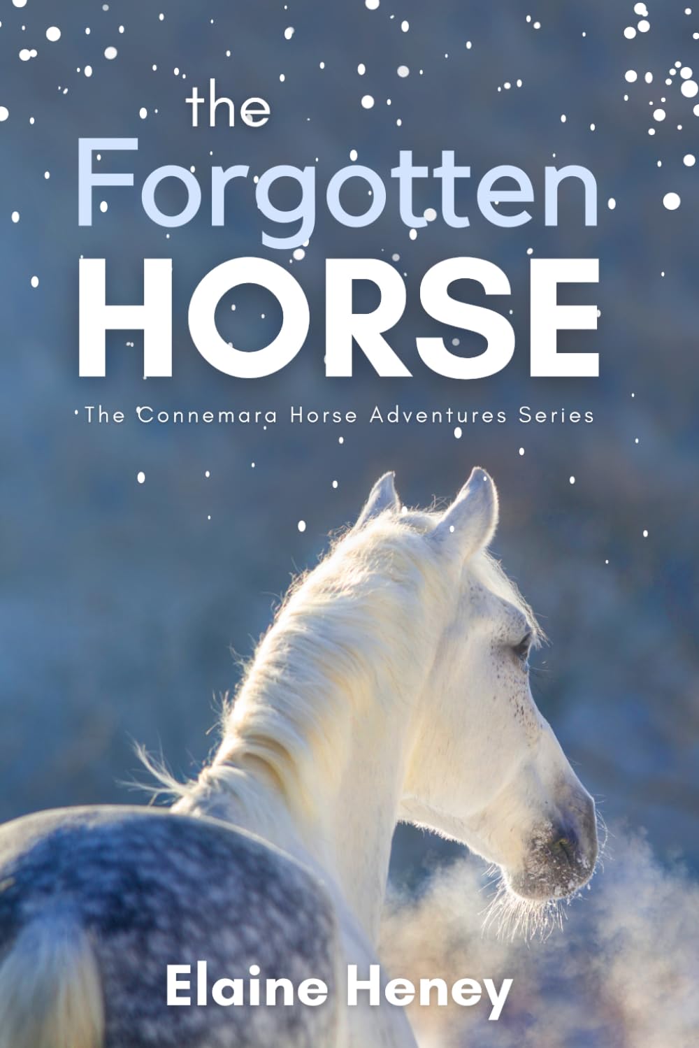 The Forgotten Horse - Book 1 in the Connemara Horse Adventure Series for Kids. The perfect gift for children age 8-12. Leisure & Fun