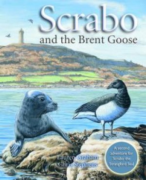 Scrabo and the Brent Goose book