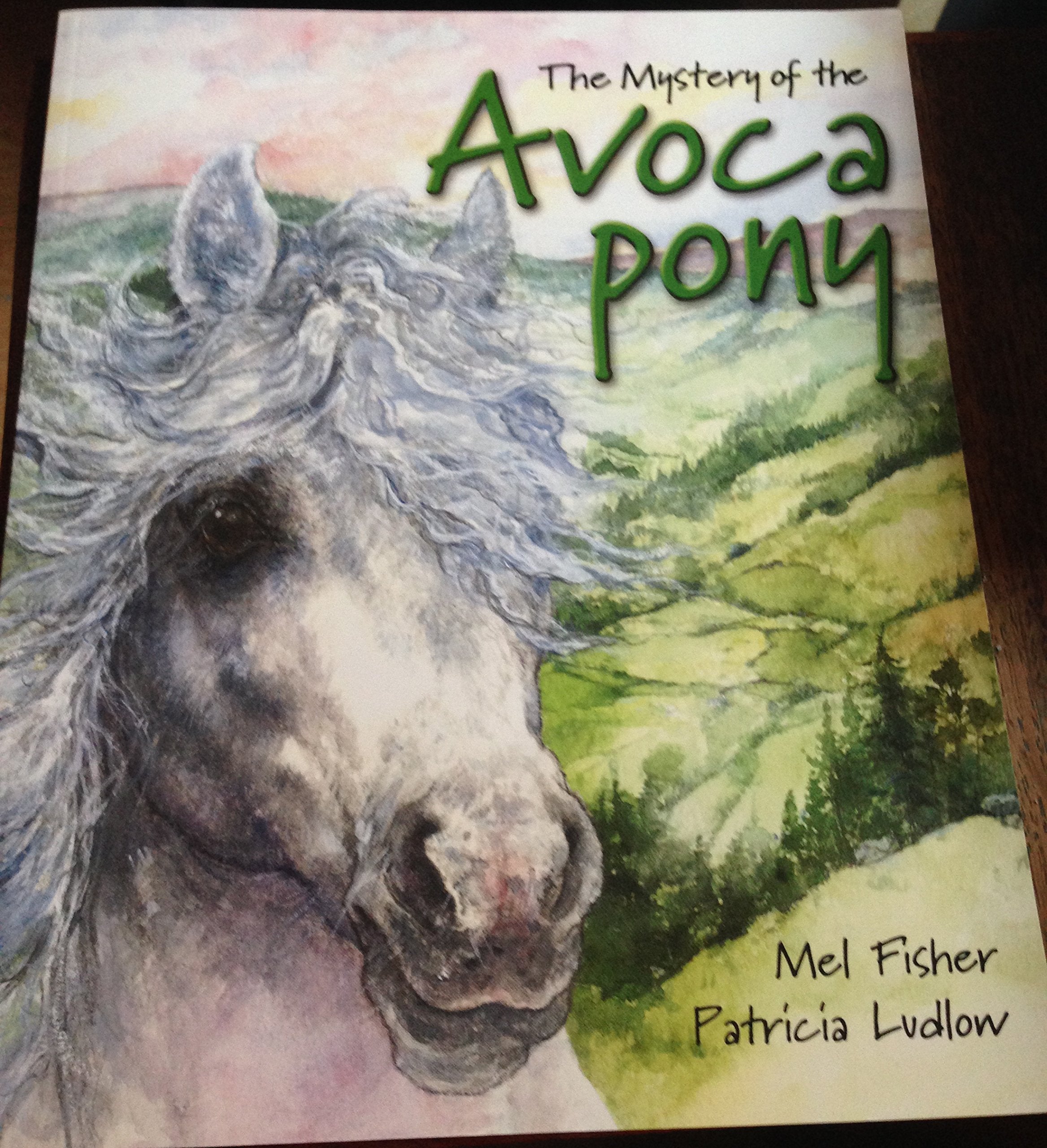 Mystery of the Avoca Pony Novels & Short Stories