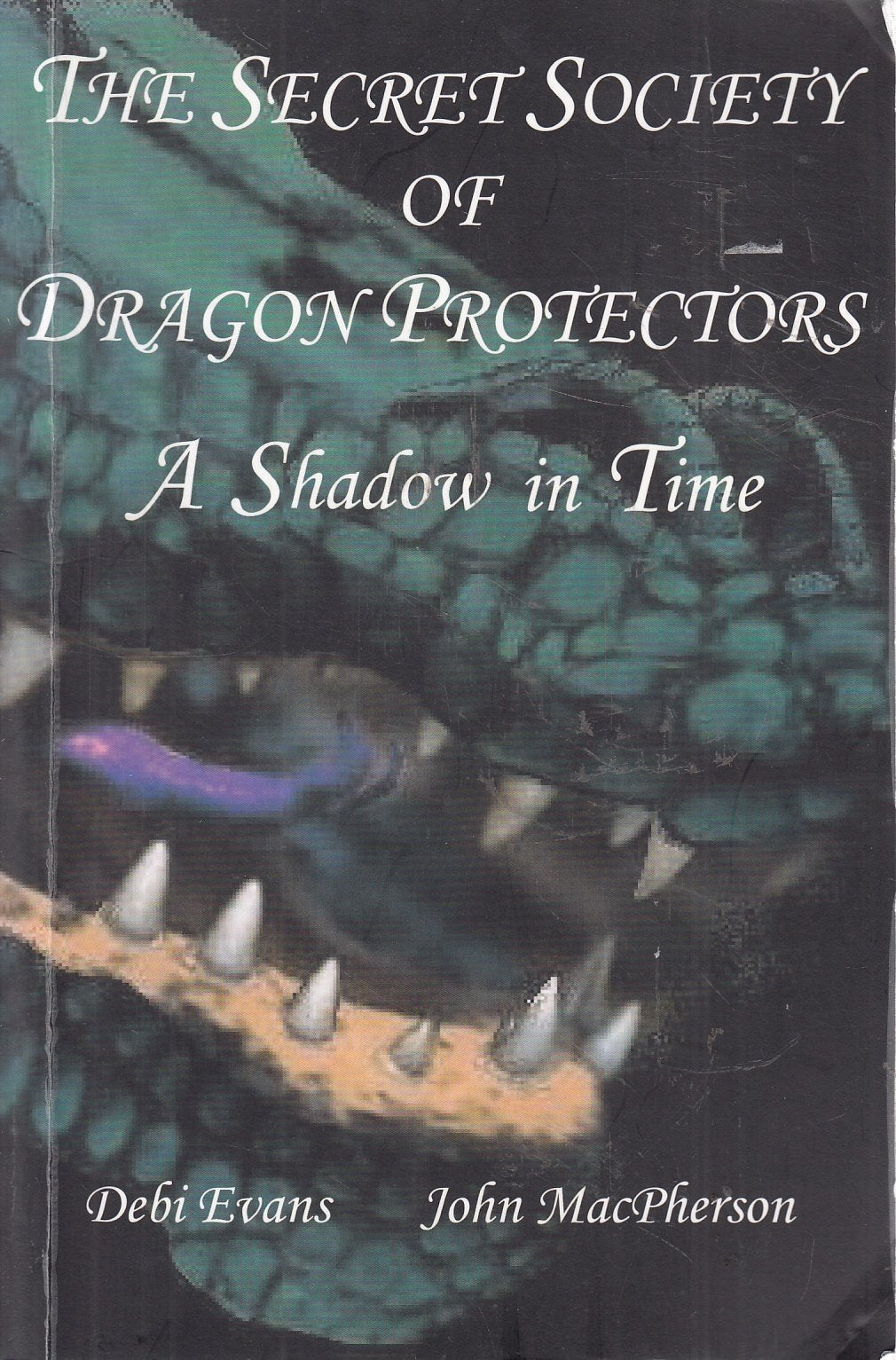 A Shadow in Time (Secret Society of Dragon Protectors) Novels & Short Stories